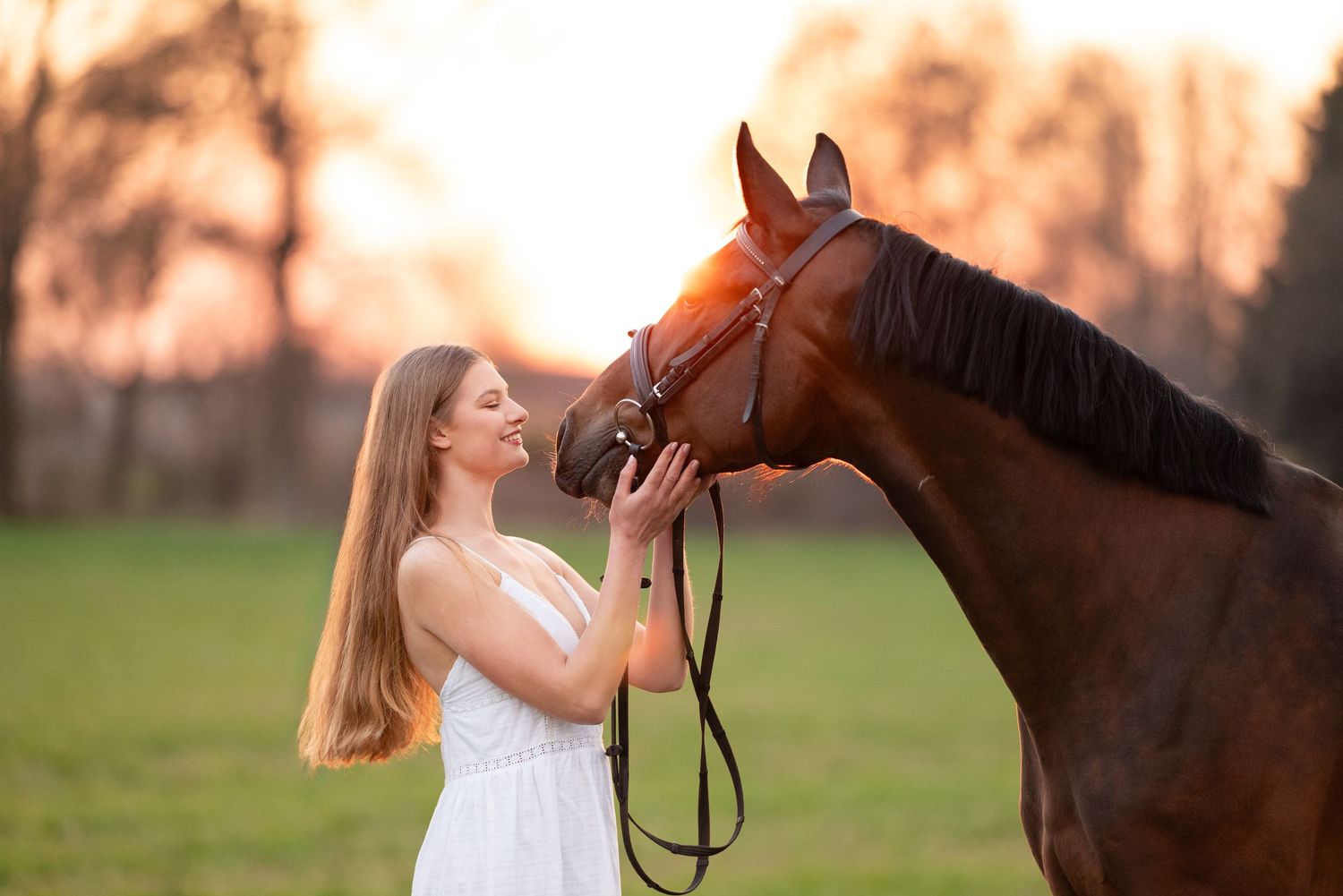 sesja zdjęciowa z koniem Julia parda klub jeździecki Agro handel olsza Śrem fotograf jeździecki konny paulina Bodych zdjęcia koni equestrian