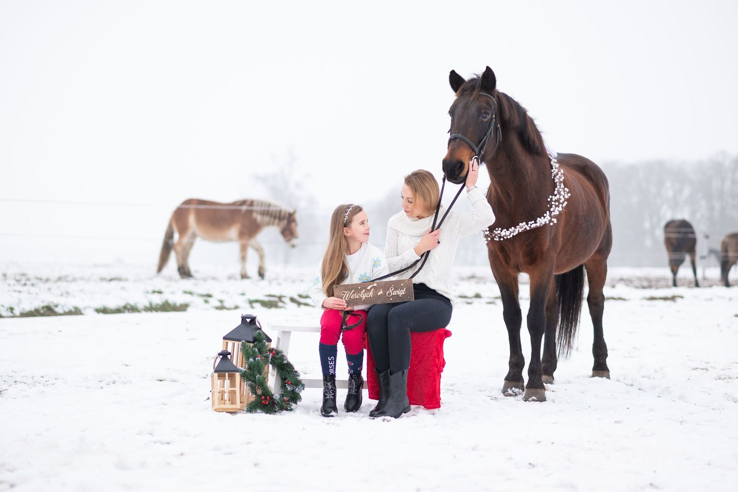sesja zdjęciowa z koniem zimowa w śniegu mini sesja konna stajnia poznań atrium paulina Bodych fotograf konne koń konie swarzędz świąteczne