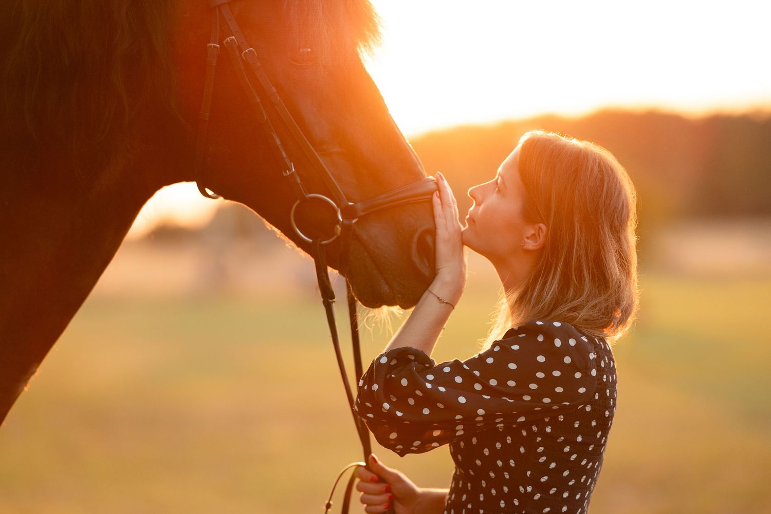 sesja zdjęciowa z koniem fotograf Poznań paulina bodych Aleksandra Szulc ska Golden dream konna fotografia prezent equestrian photography
