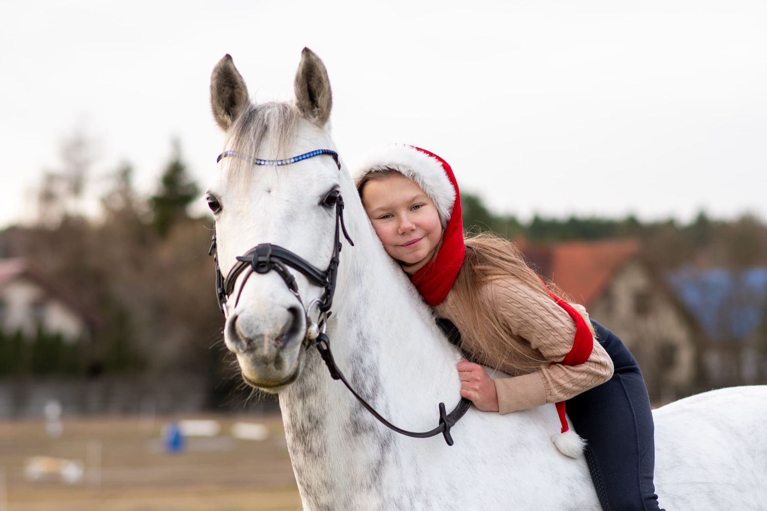 sesja konna z koniem Poznań stajnia Centrum sportu i Fitness atrium Swarzędz konie Podkowa Gruszczyn Wiktoria Cwalina Marchewka Horses Team