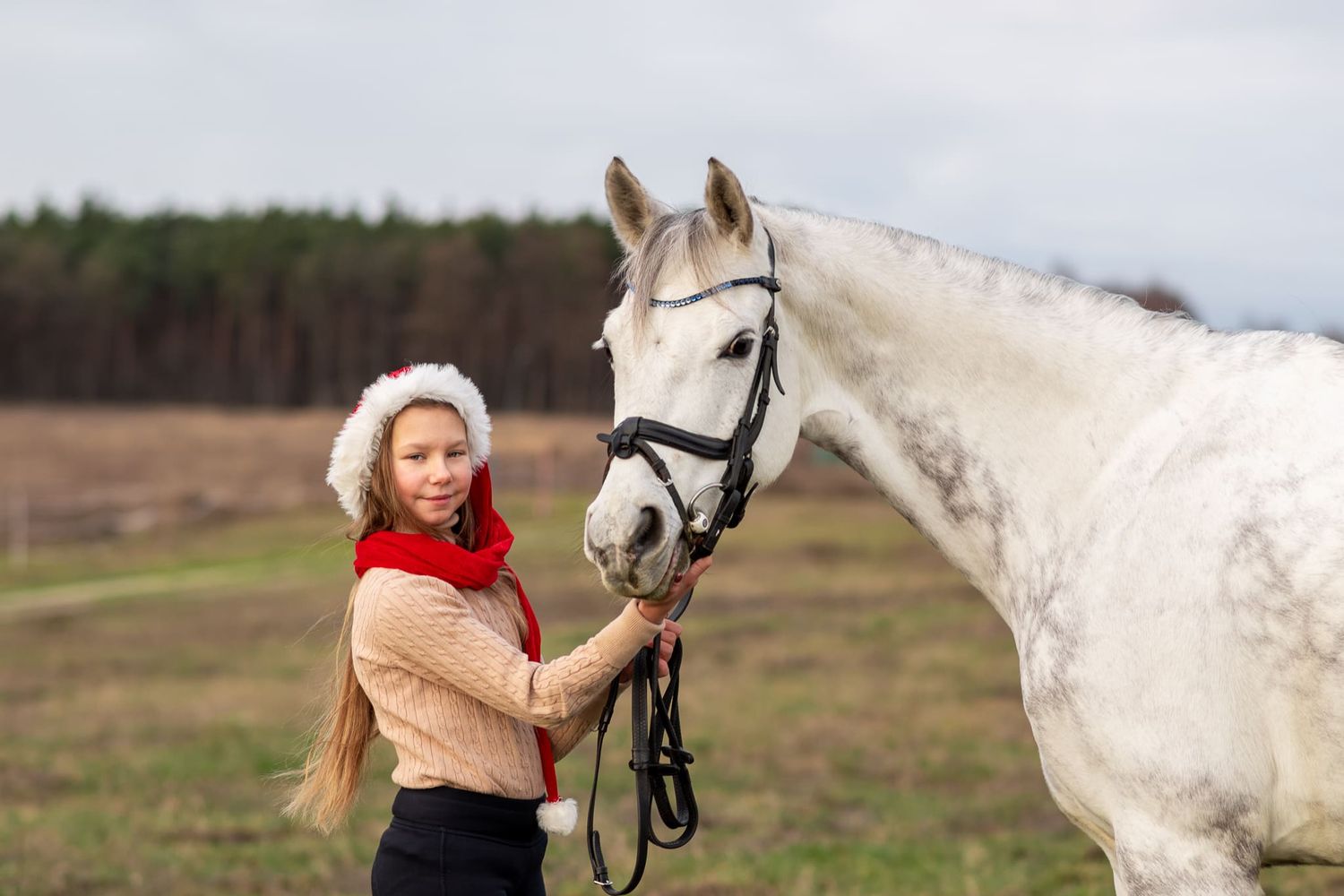 sesja konna z koniem Poznań stajnia Centrum sportu i Fitness atrium Swarzędz konie Podkowa Gruszczyn Wiktoria Cwalina Marchewka Horses Team