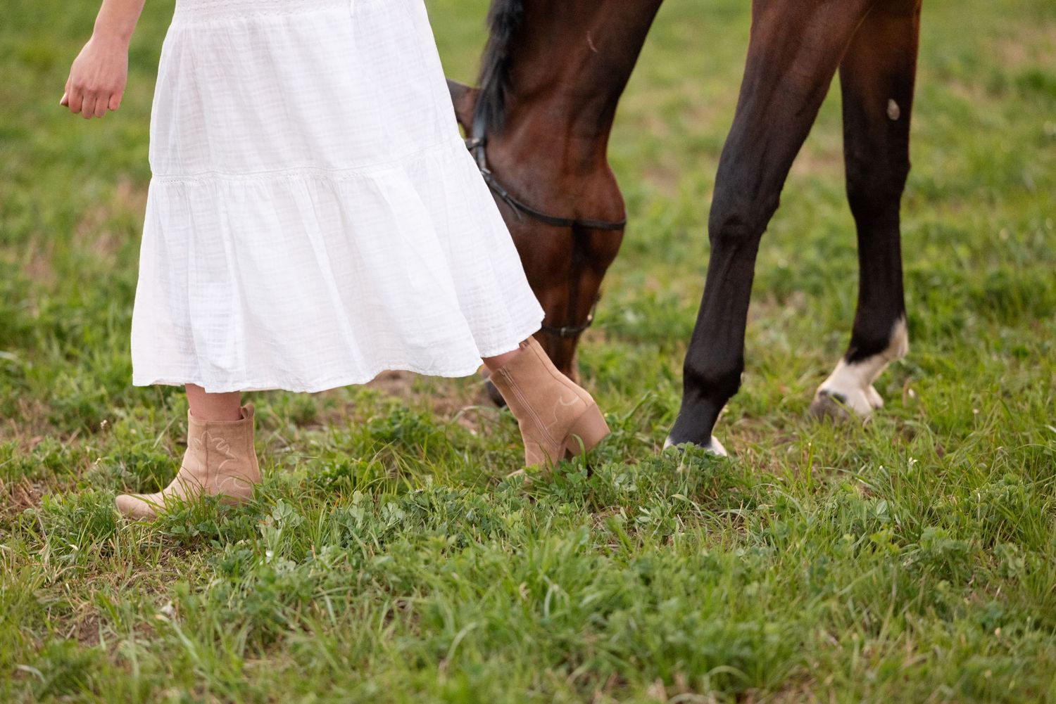 sesja zdjęciowa z koniem Julia parda klub jeździecki Agro handel olsza Śrem fotograf jeździecki konny paulina Bodych zdjęcia koni equestrian
