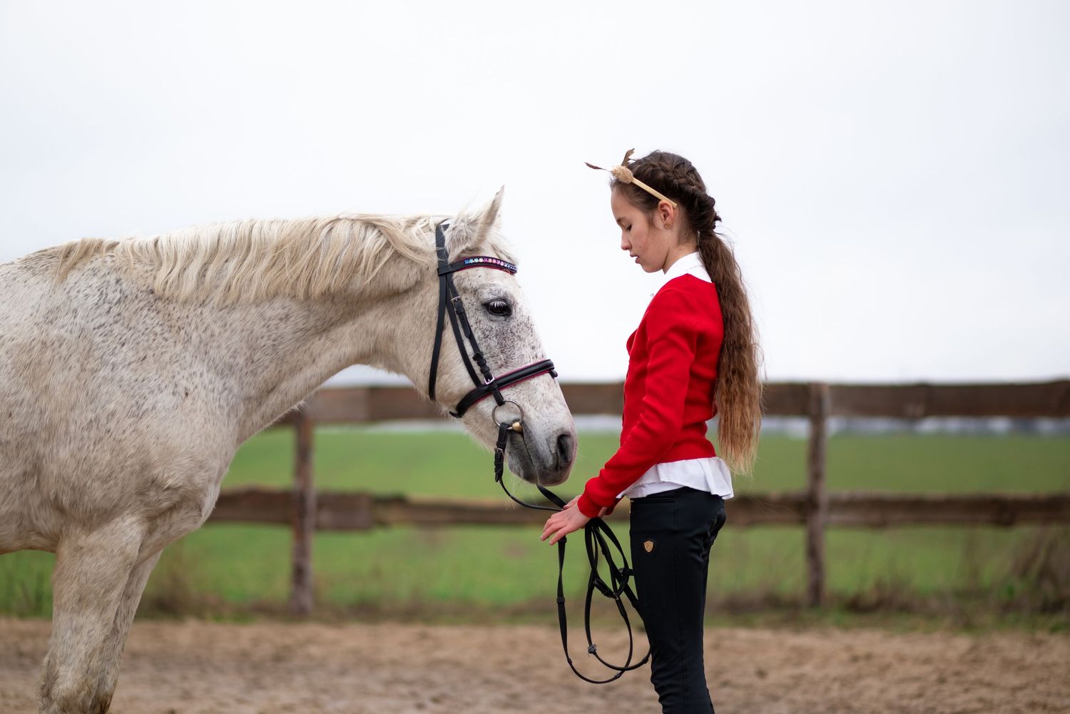 sesja zdjęciowa z koniem zimowa w śniegu mini sesja konna stajnia poznań tulce olimp sj paulina Bodych fotograf konne koń konie świąteczne