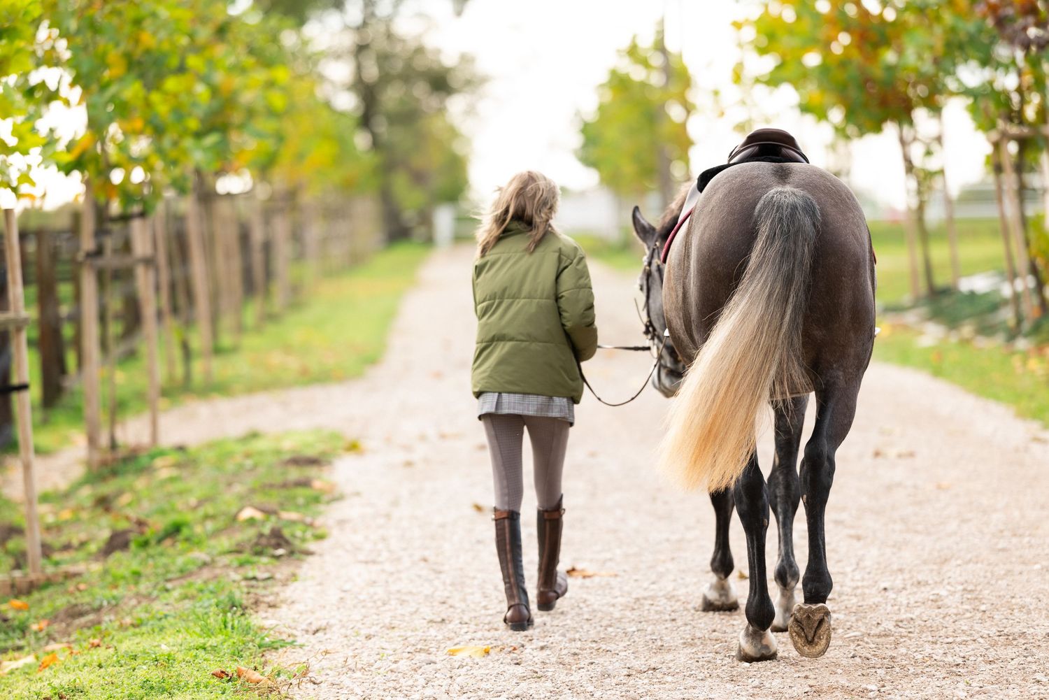 sesja zdjęciowa z koniem fotograf poznań sesja konna paulina bodych fotografia stajnia otusz stajnie otuskie equestrian photo shoot equine