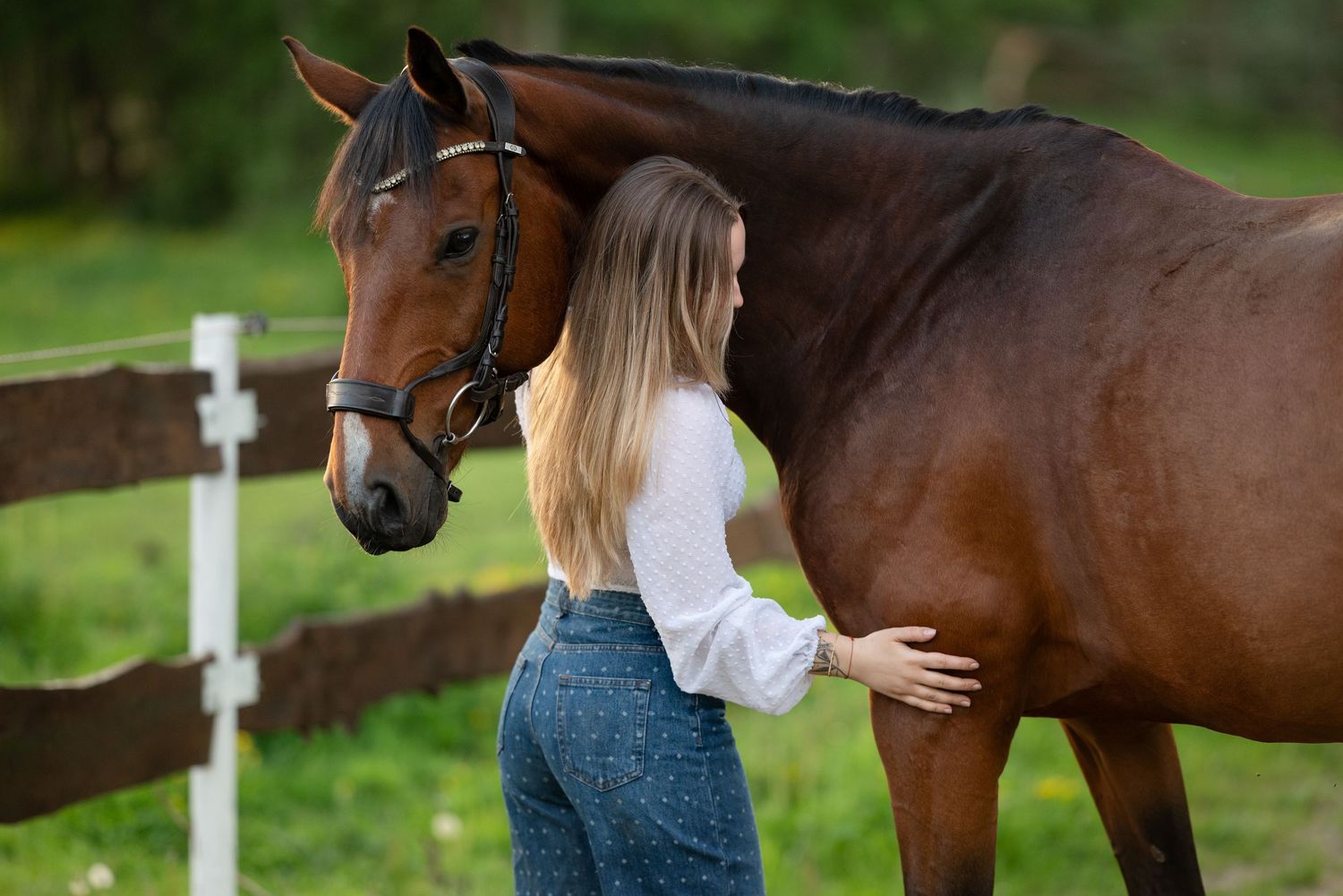 quatro ośrodek jeździecki pobiedziska sesja zdjęciowa z koniem konna Martyna i indygo konie Horses eqeuetsrian paulina Bodych fotografia