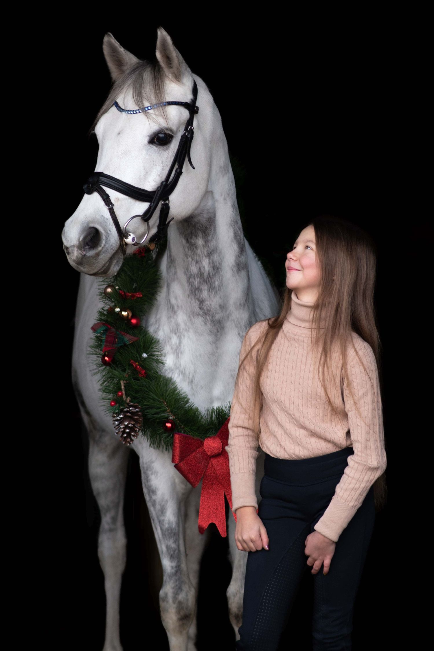 sesja konna z koniem Poznań stajnia Centrum sportu i Fitness atrium Swarzędz konie Podkowa Gruszczyn Wiktoria Cwalina Marchewka Horses Team