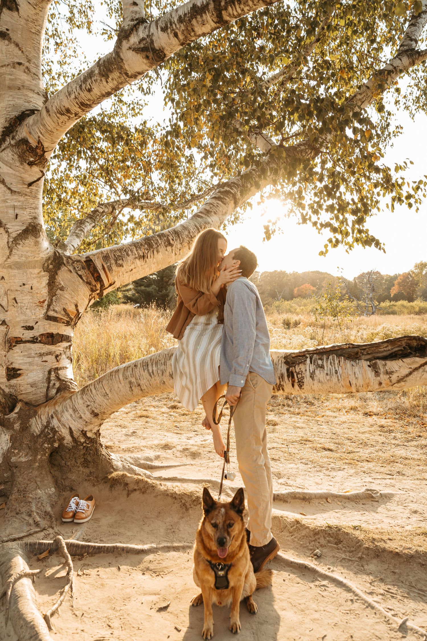 Couple sharing a romantic moment by a birch tree with their German Shepherd watching below.