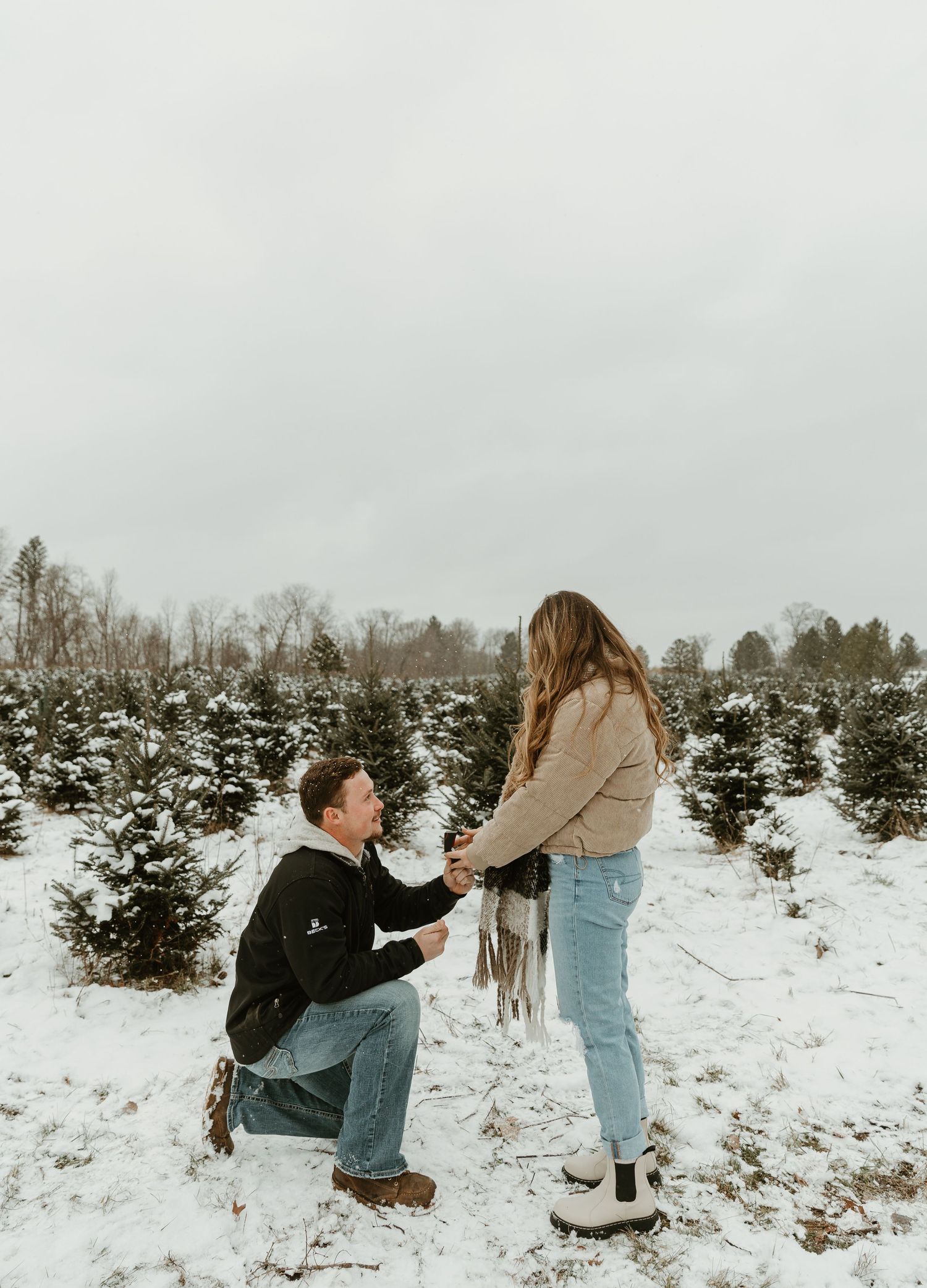 Winter proposal scene at snow-covered Christmas tree farm with evergreen trees in background.