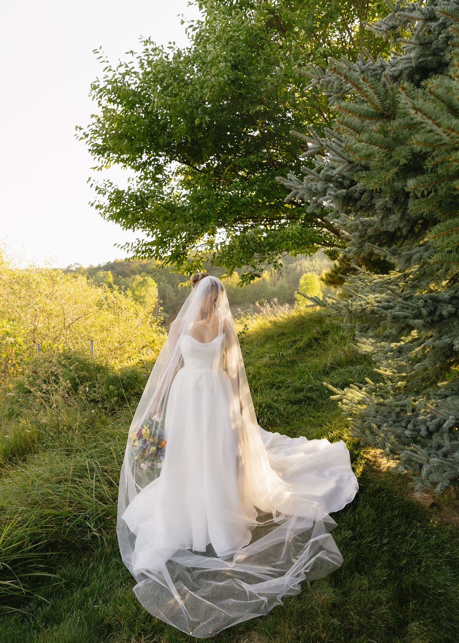 A flowing white wedding dress and veil create ethereal silhouettes against an outdoor garden backdrop.