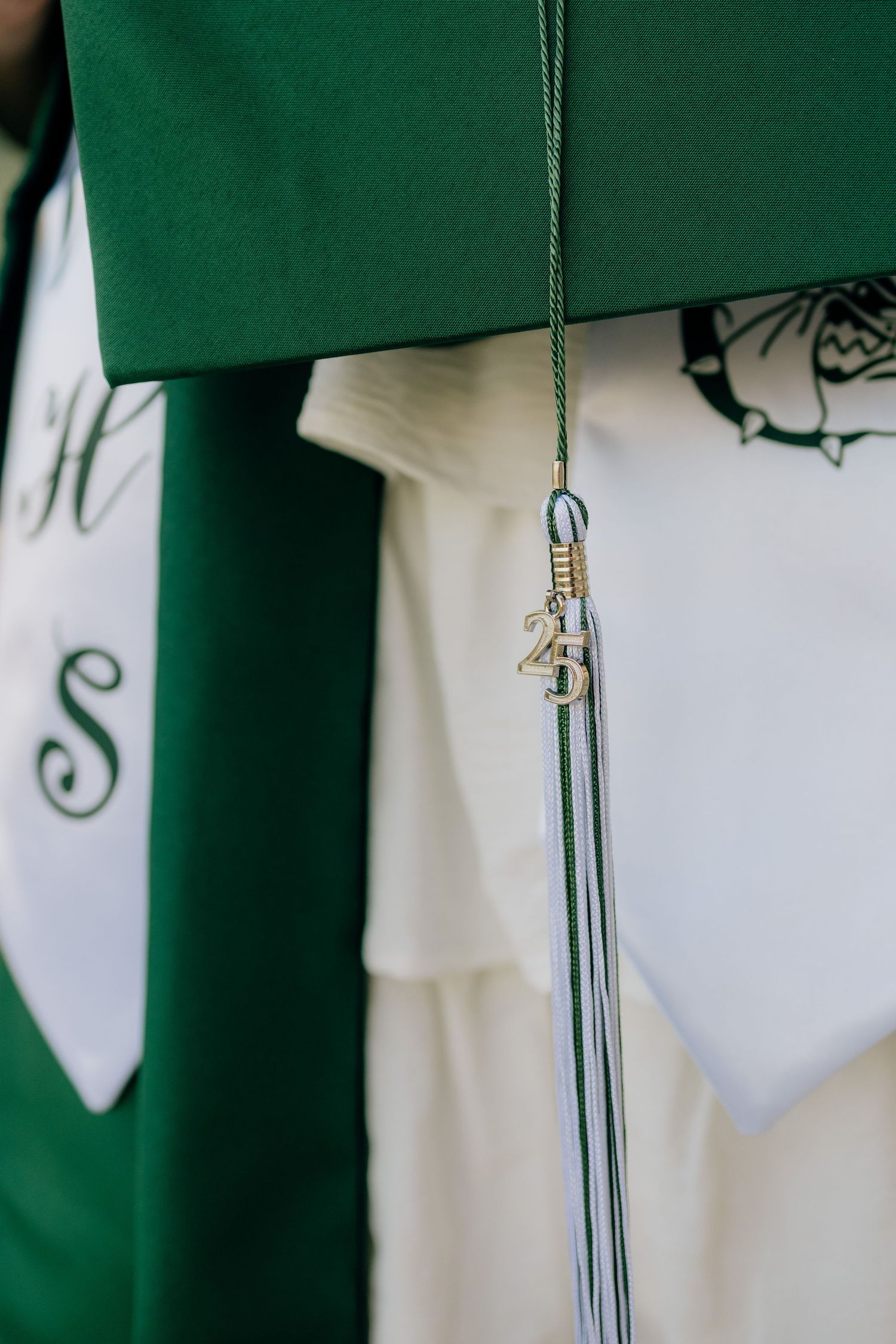 Green graduation tassels hanging against white background showing four duplicate close-up images.