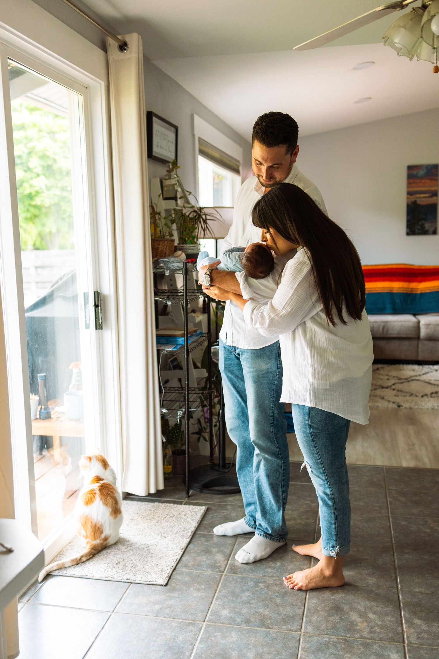A sequence of photos showing a parent and child observing a dog through a glass door in a sunlit room.