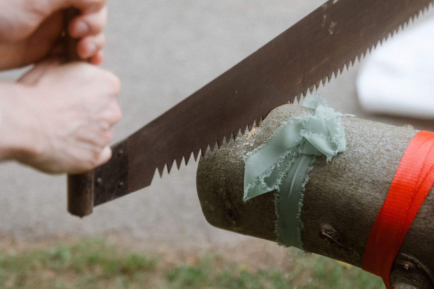 Close-up sequence showing a handsaw cutting through wood with red marking.