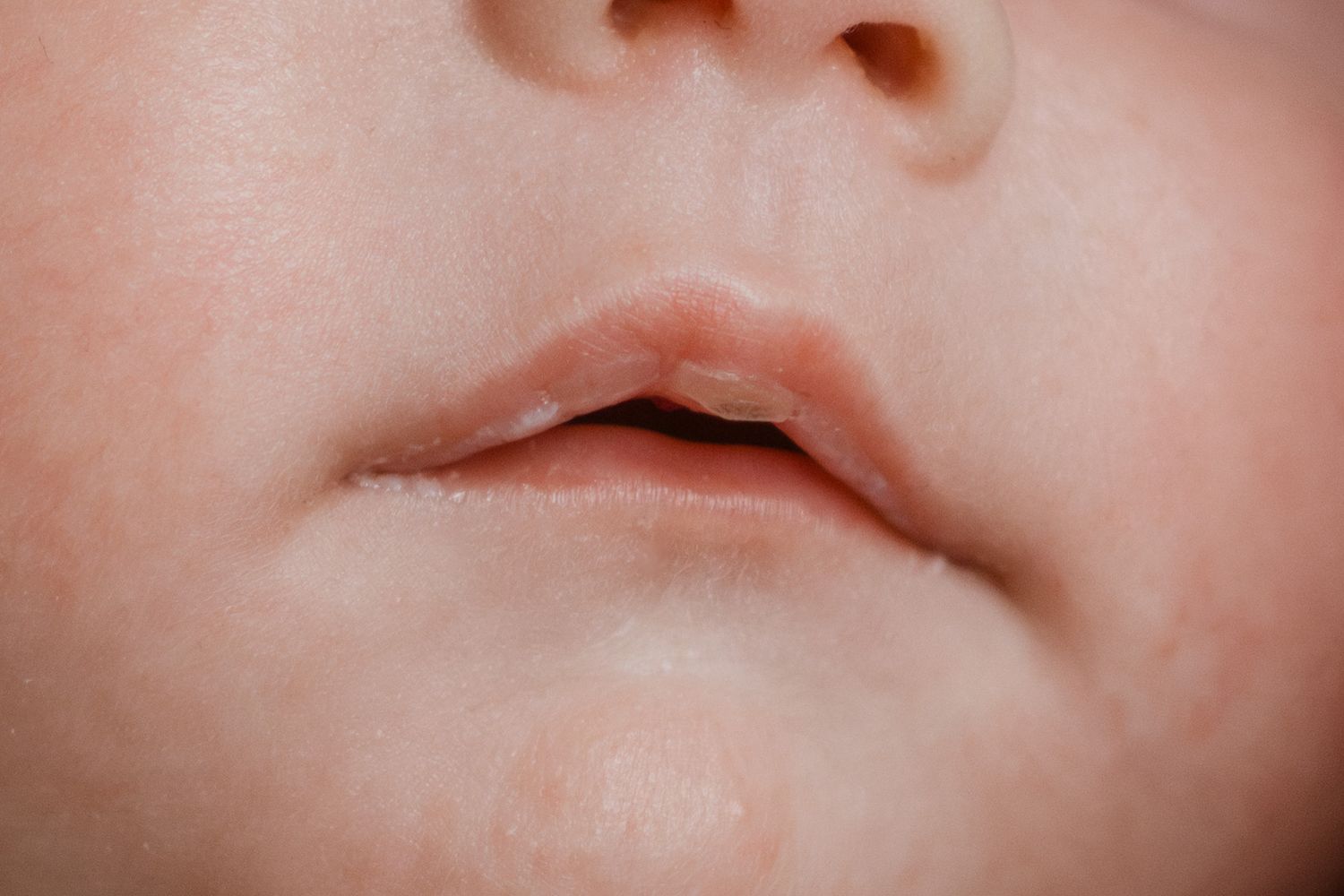 Extreme close-up macro photograph of facial features.