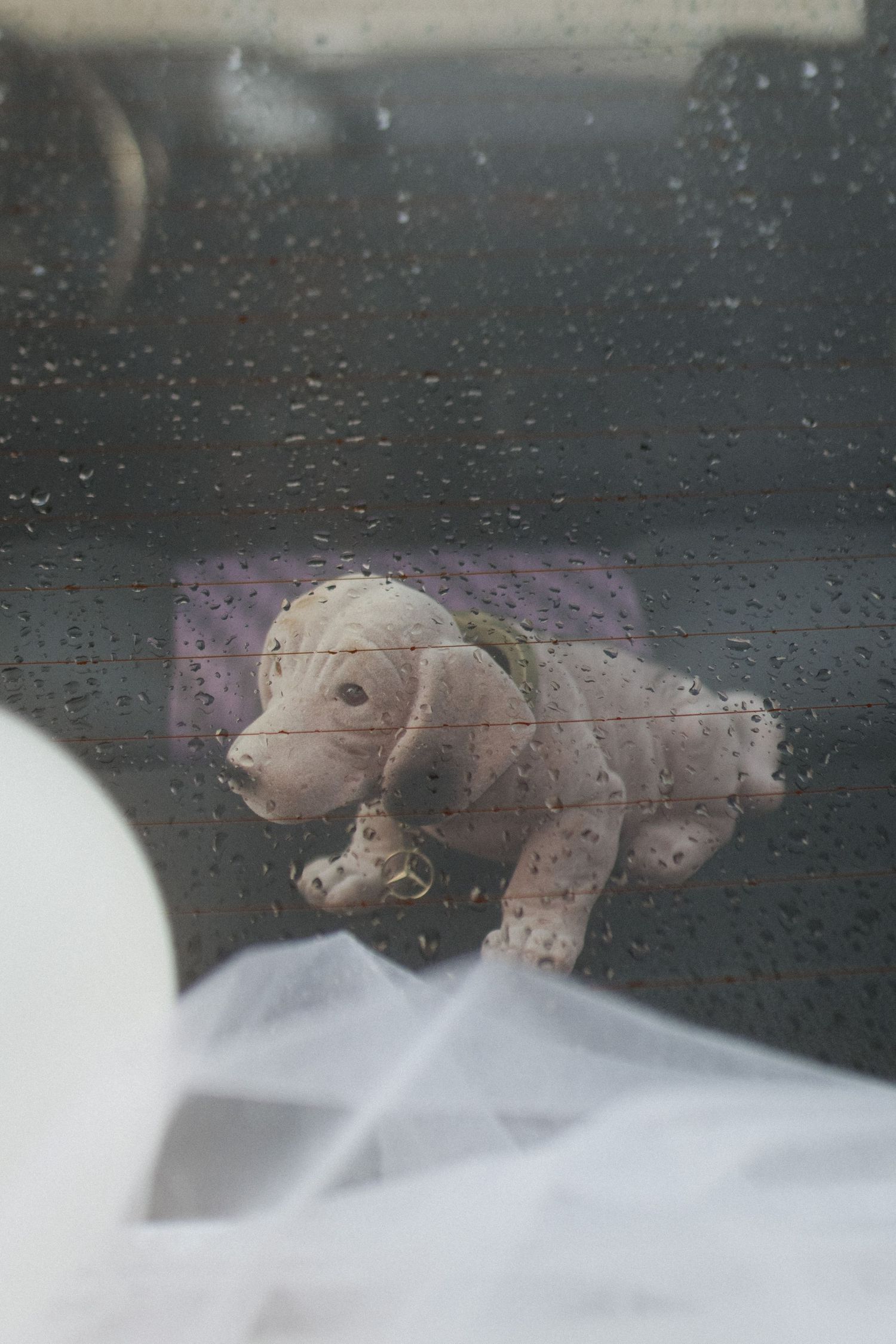 Stuffed toy hippo seen through a rain-covered window.