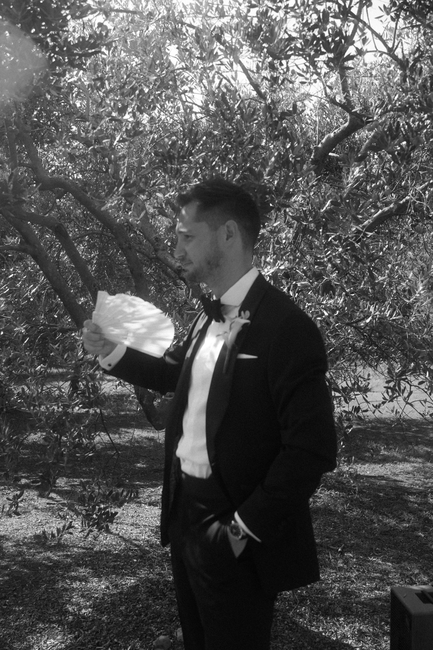 Black and white photo of wedding celebration in an olive grove.