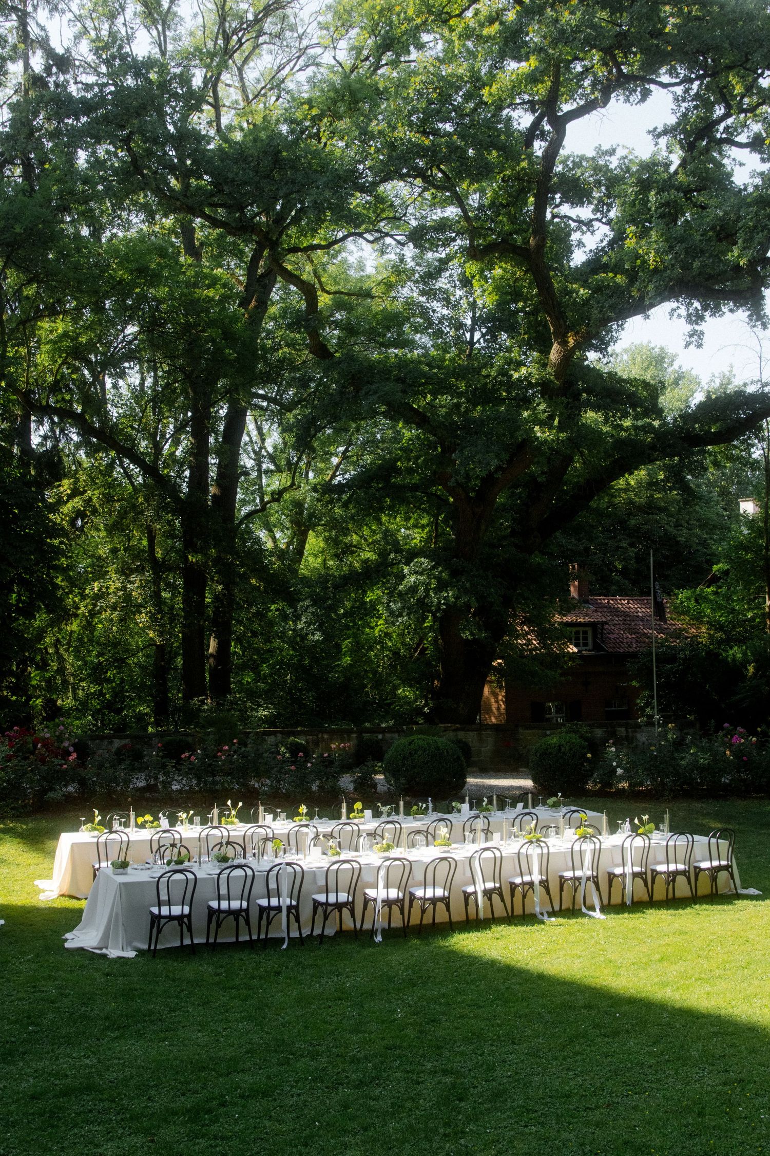 Elegant outdoor wedding reception tables set on lush green lawn beneath towering trees in a garden venue.