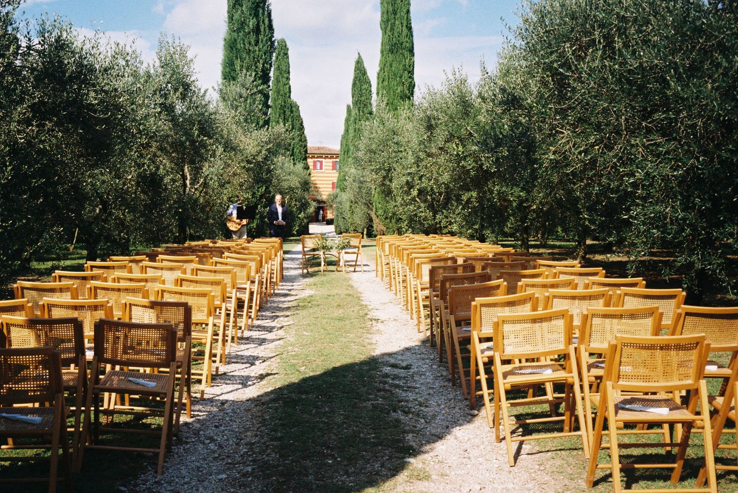 Outdoor wedding ceremony setup with wooden benches arranged in rows among cypress trees.