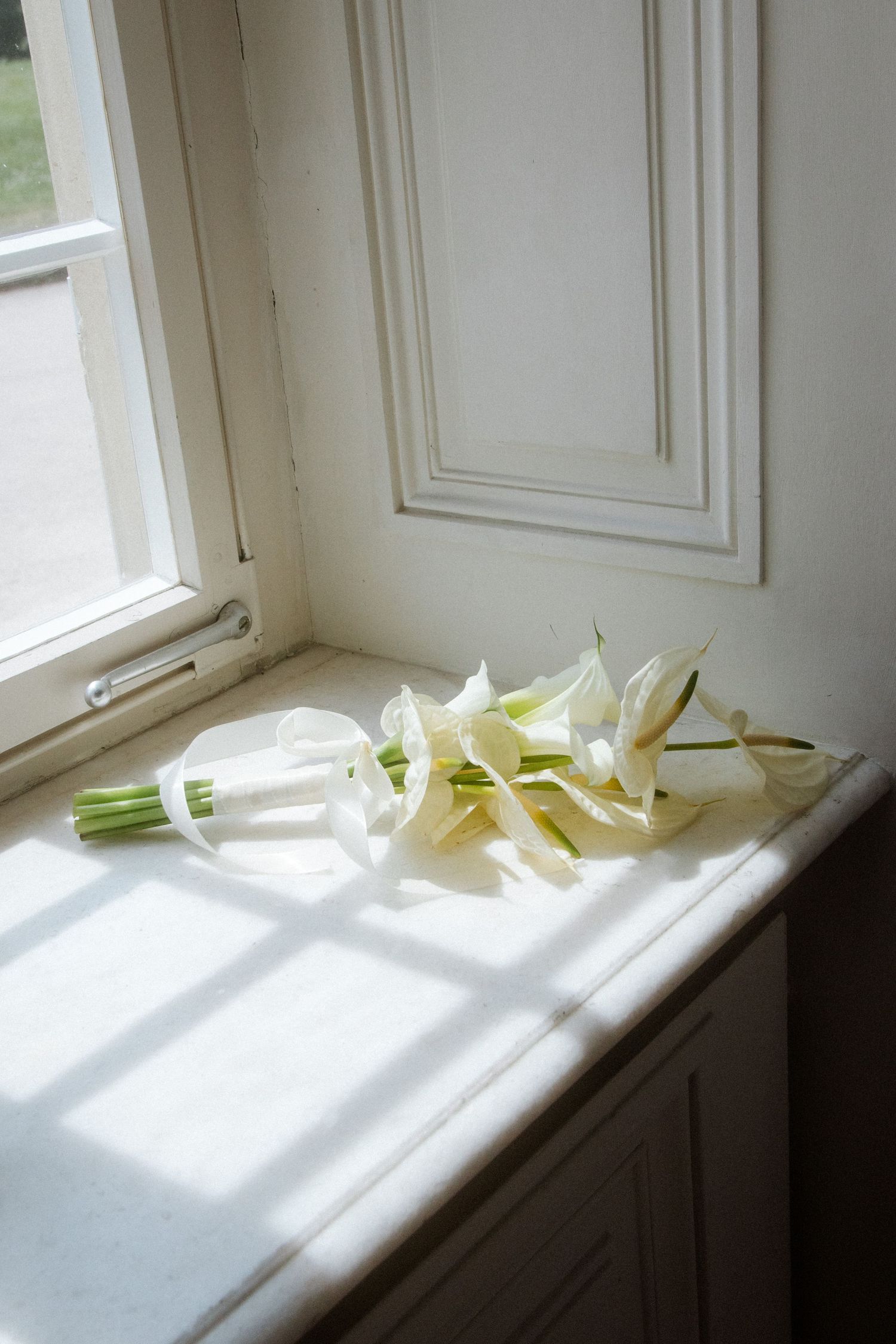 White calla lilies arranged along a sunlit windowsill creating soft shadows.