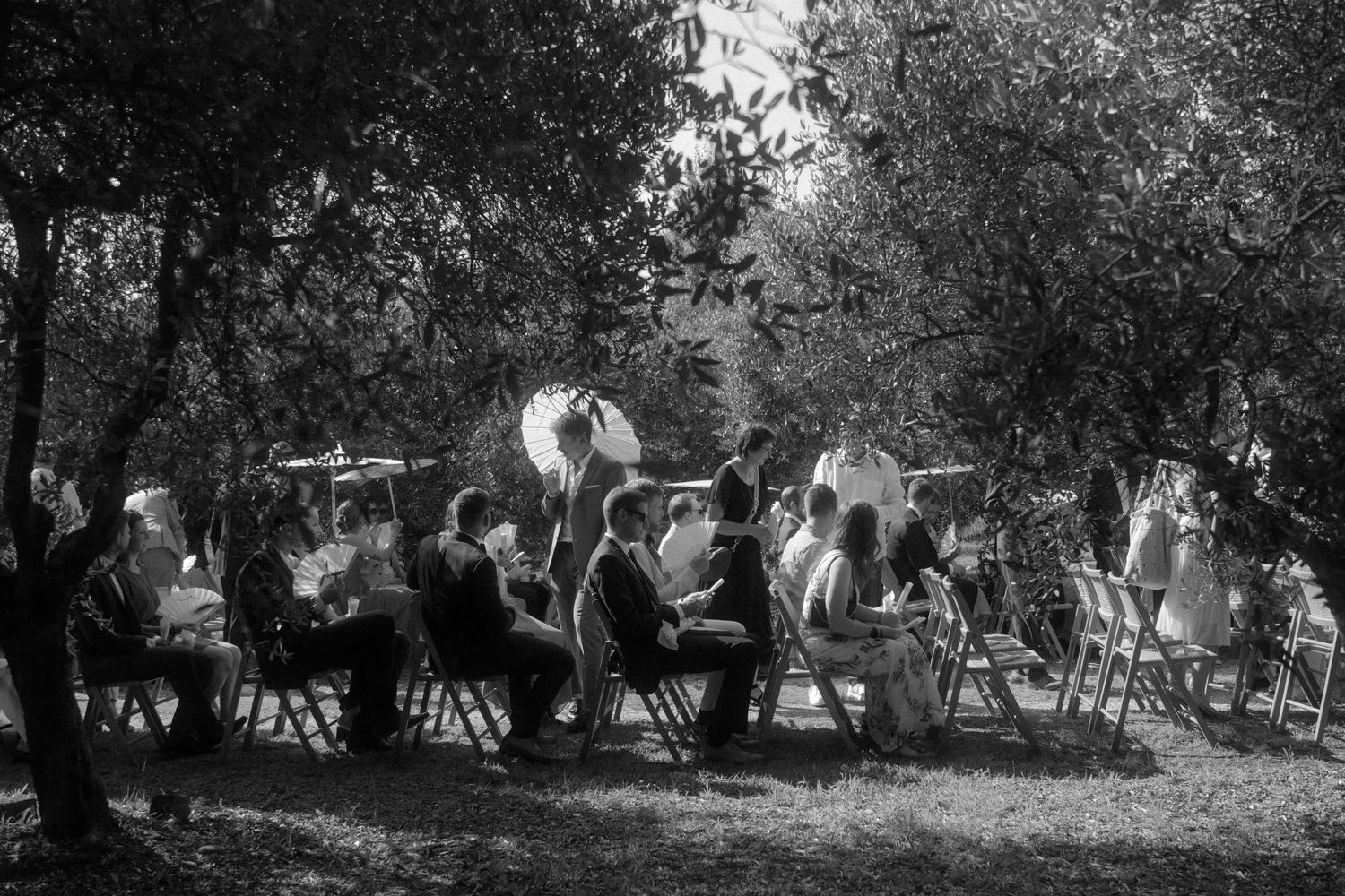 Black and white panorama of wedding ceremony seating in natural outdoor setting.