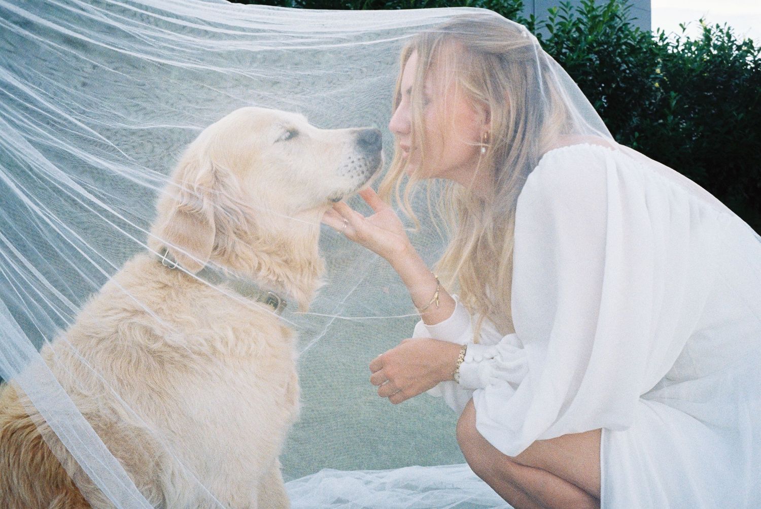 A dog and person share an affectionate moment outdoors in a series of candid photos.