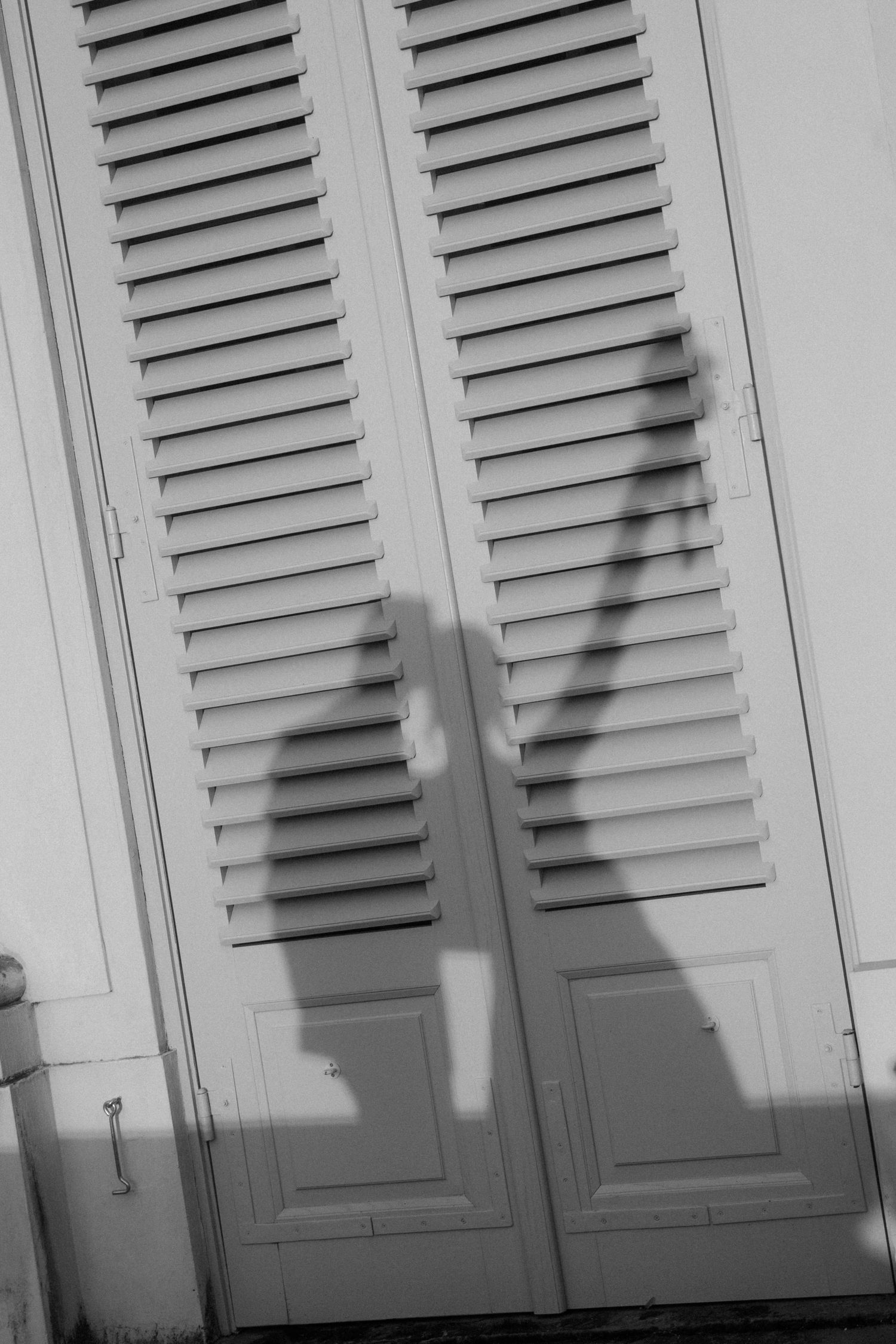Artistic black and white photo of shadows cast on white shuttered doors.