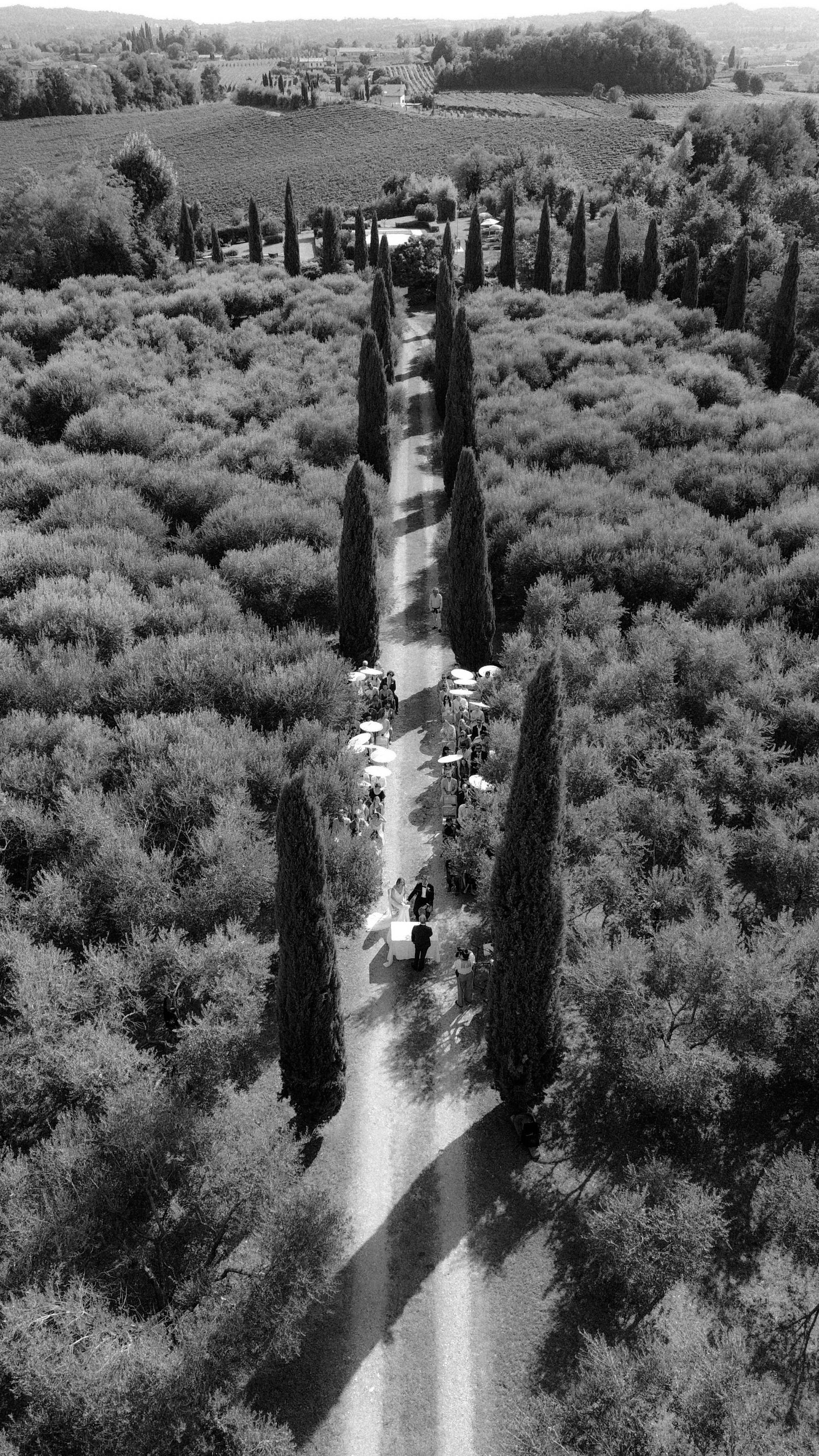 Aerial view of a cypress-lined path through an Italian countryside estate.