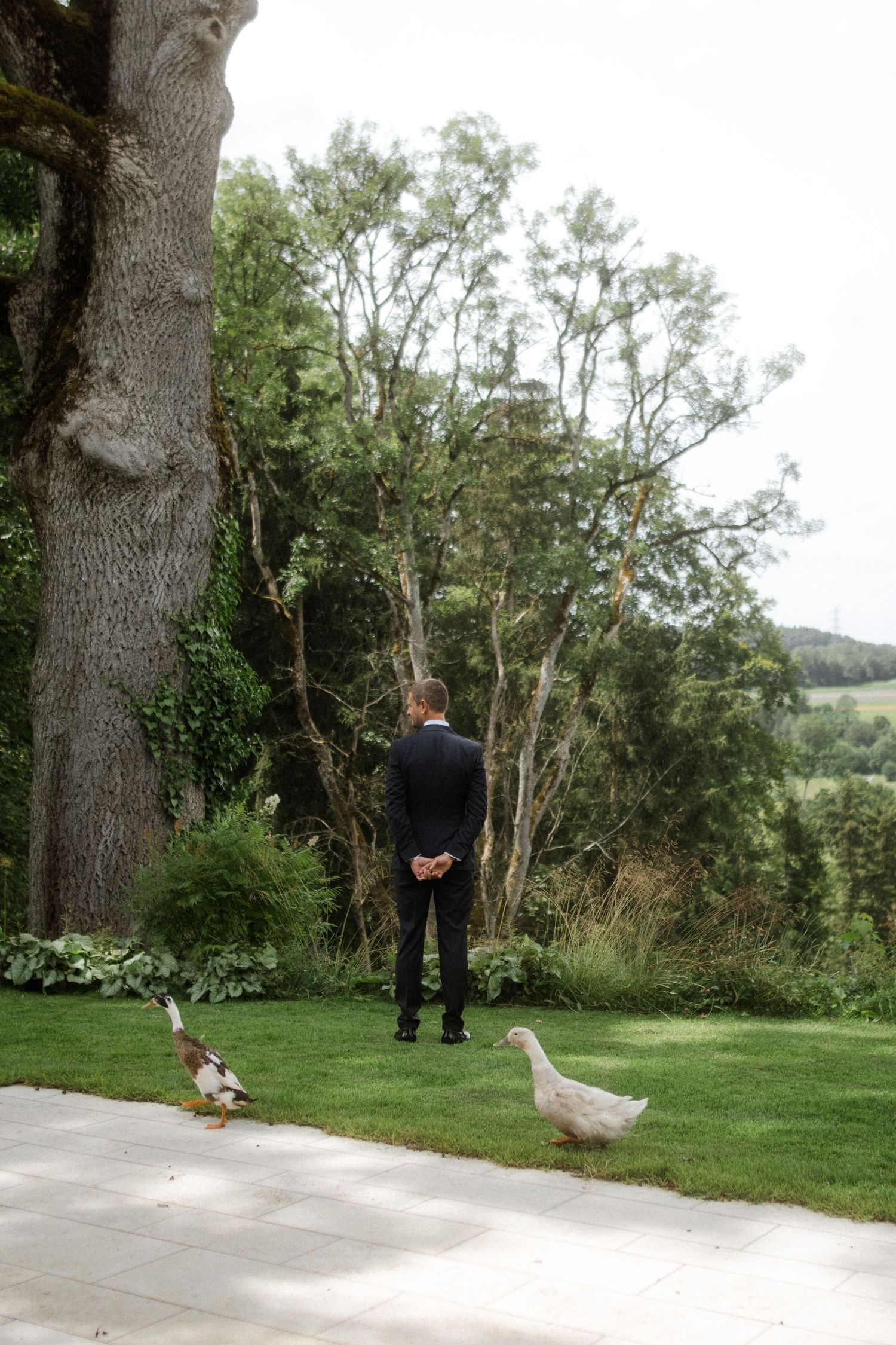 A person in formal attire stands in a garden while geese wander across the lawn.