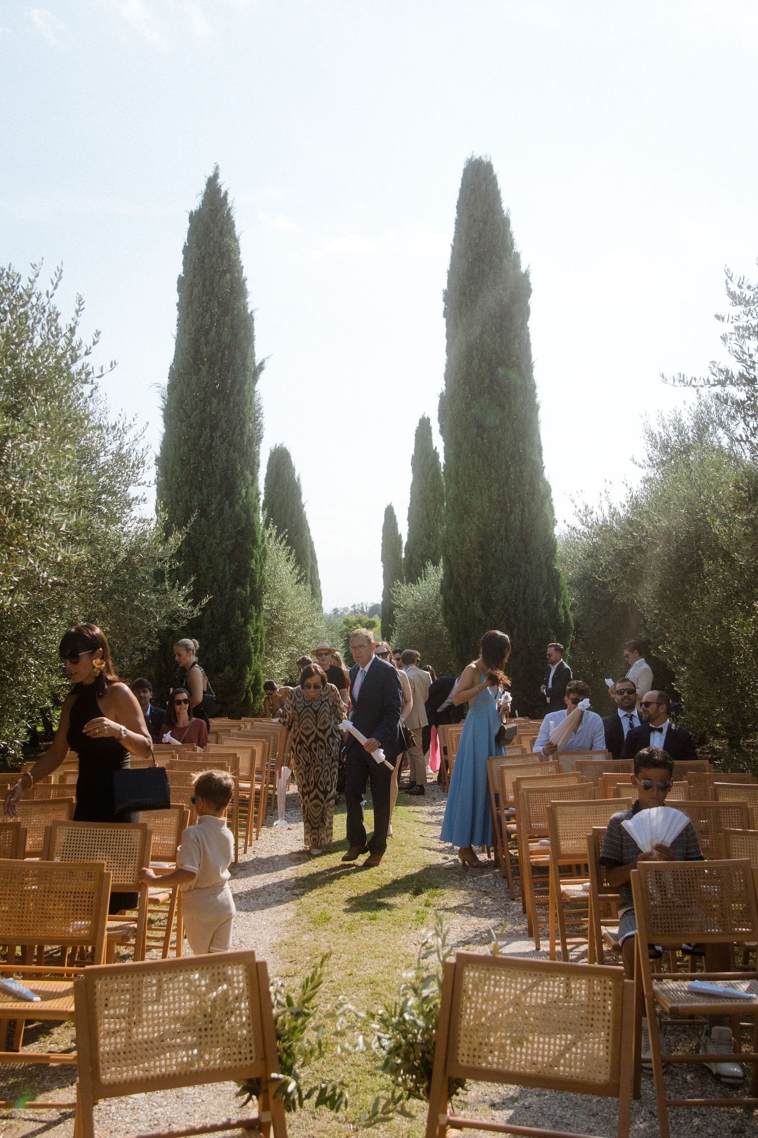 Guests seated on wooden chairs at outdoor wedding ceremony among cypress trees.