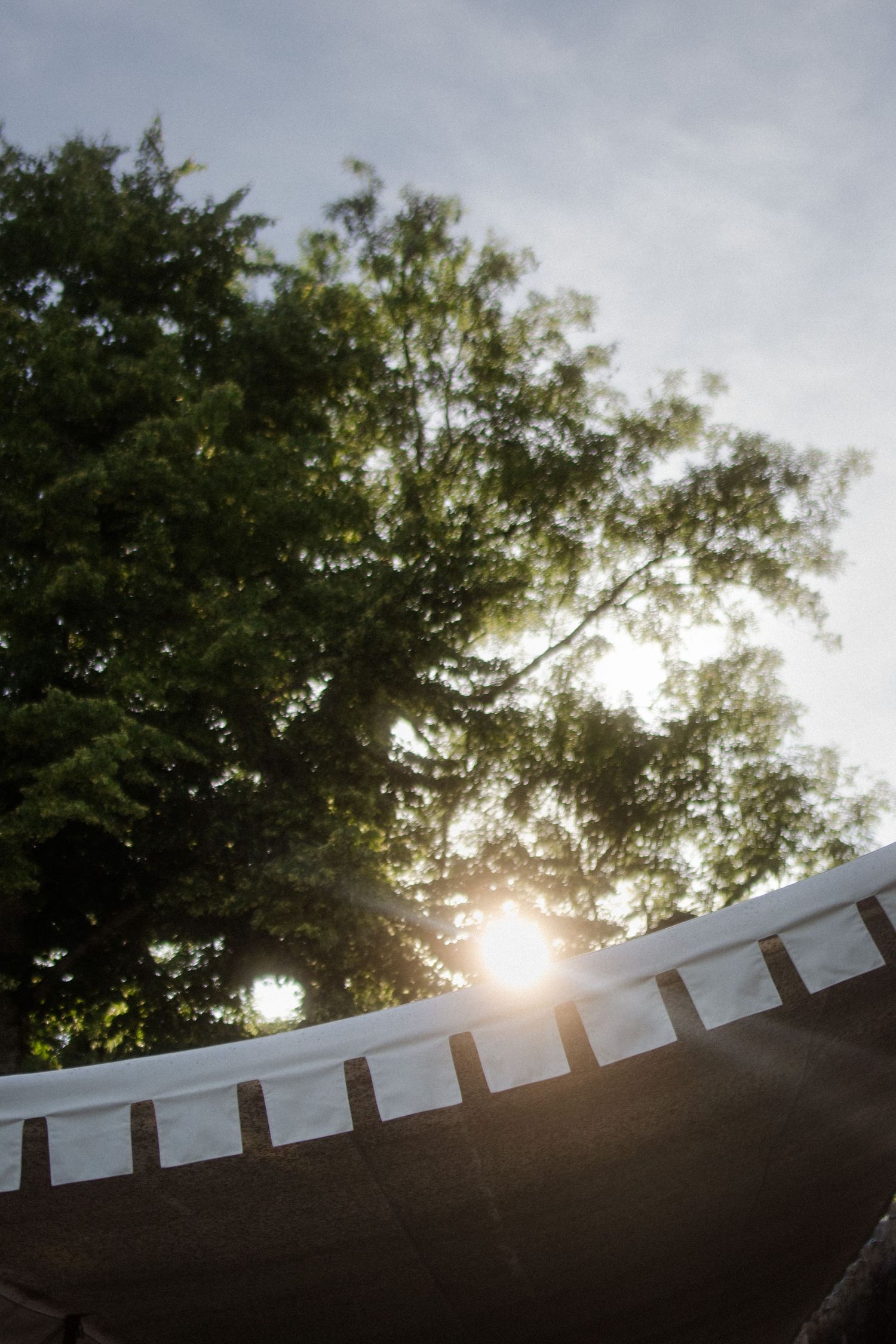 Sunlight filters through trees with white hanging decorative flags under a moody sky.