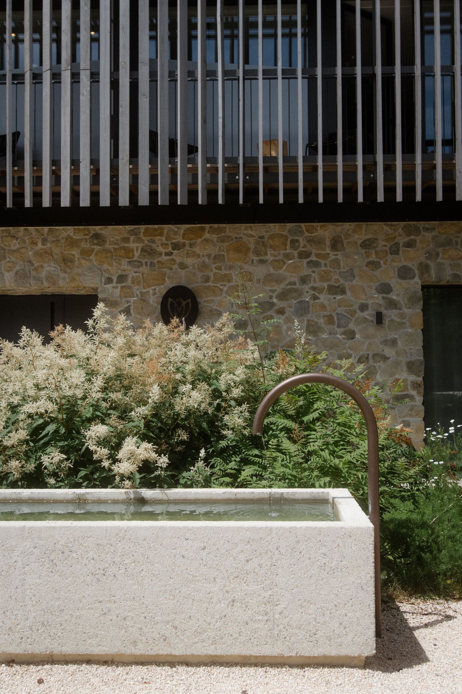Modern stone building exterior with white flowering bushes and concrete water feature.