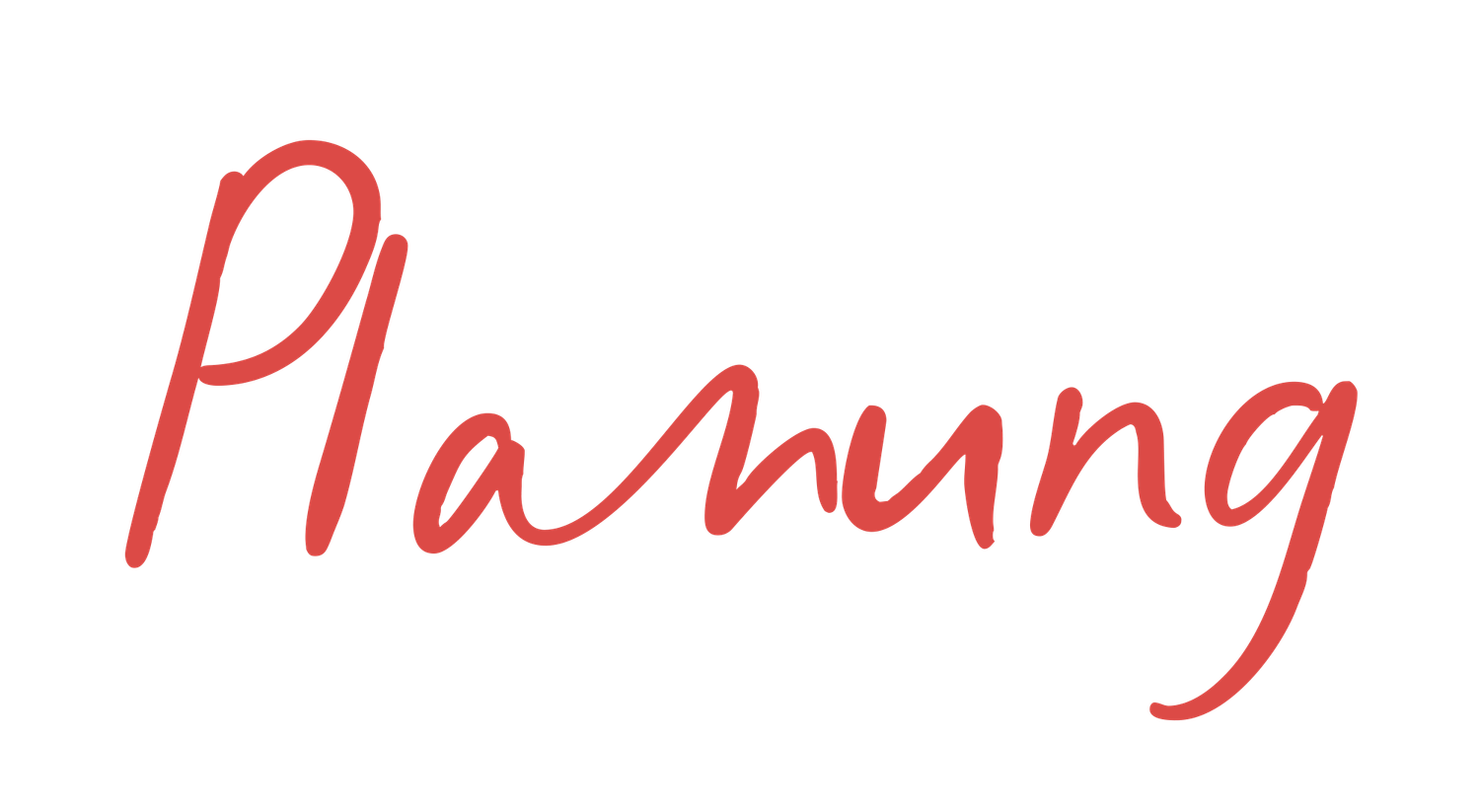 Red handwritten cursive text against white background.