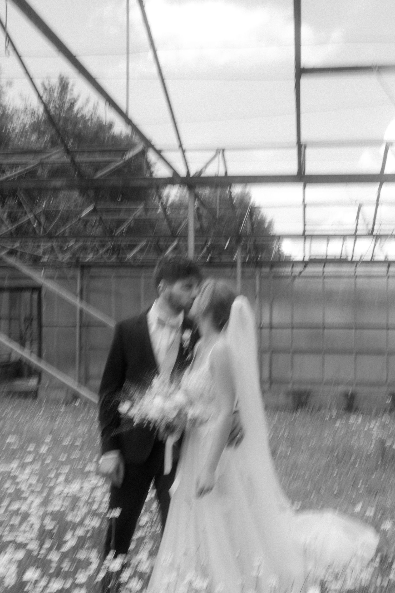 Black and white romantic wedding portrait captured in a greenhouse setting.