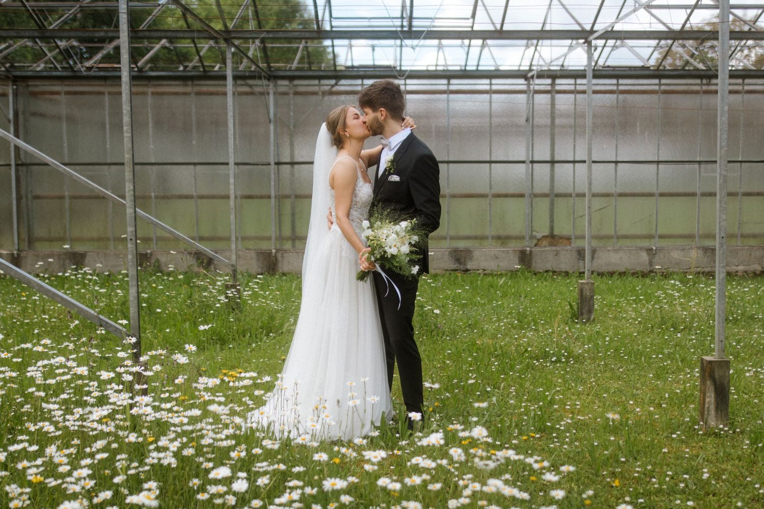 Newlyweds embrace in a greenhouse garden with white daisies scattered across the ground.