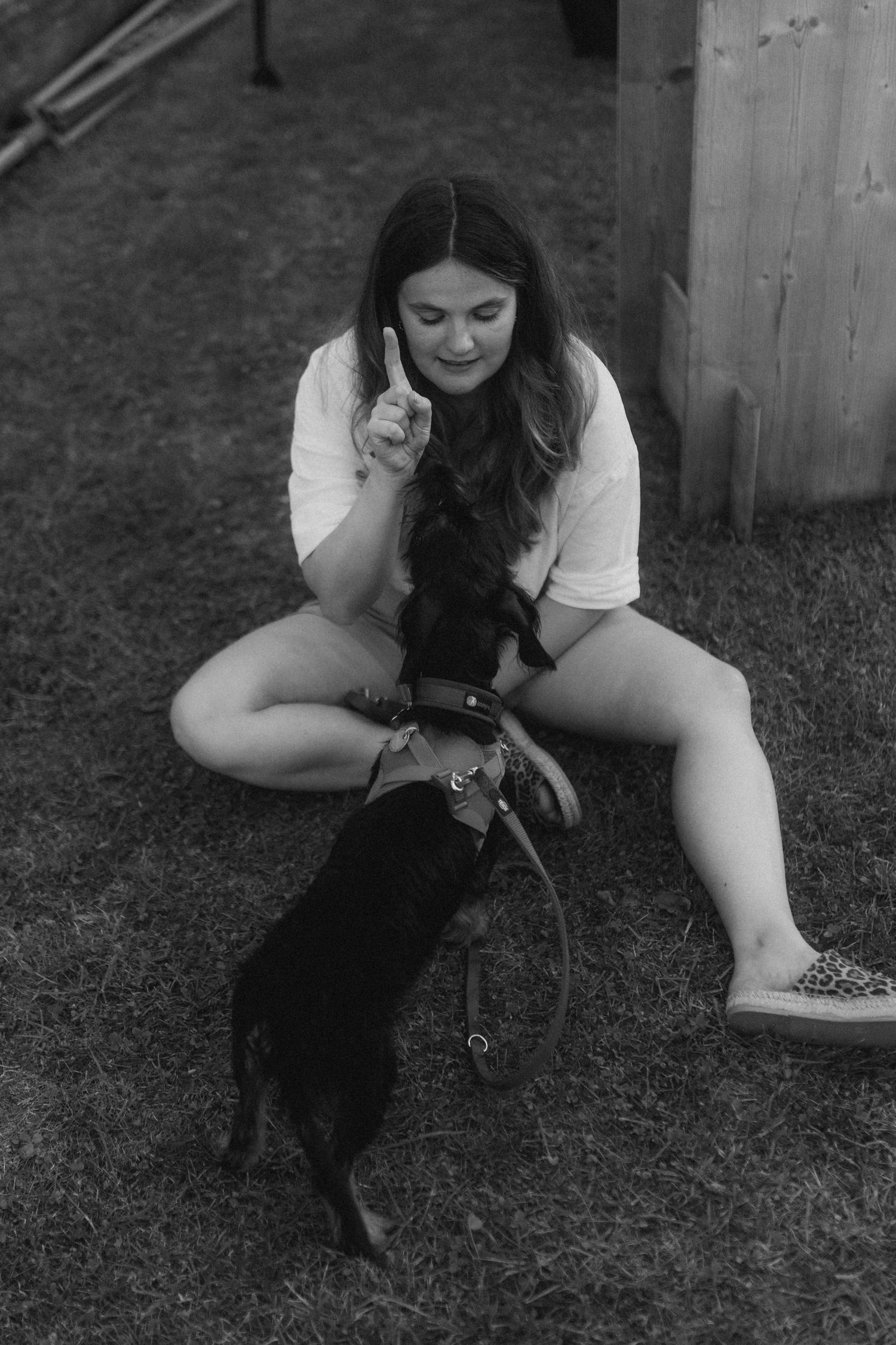 Black cat being petted while lying in grass outdoors.