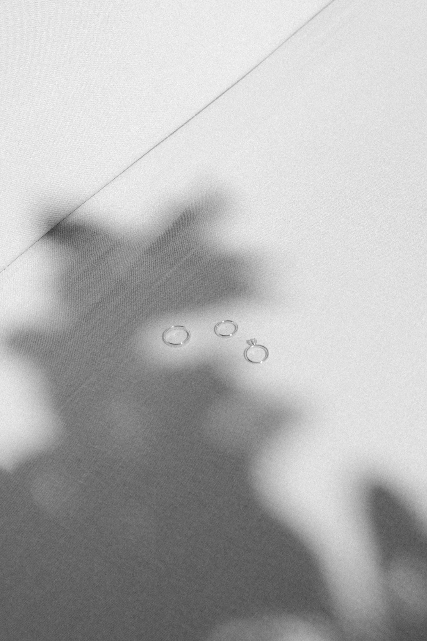 Abstract black and white shadow with three circular shapes.