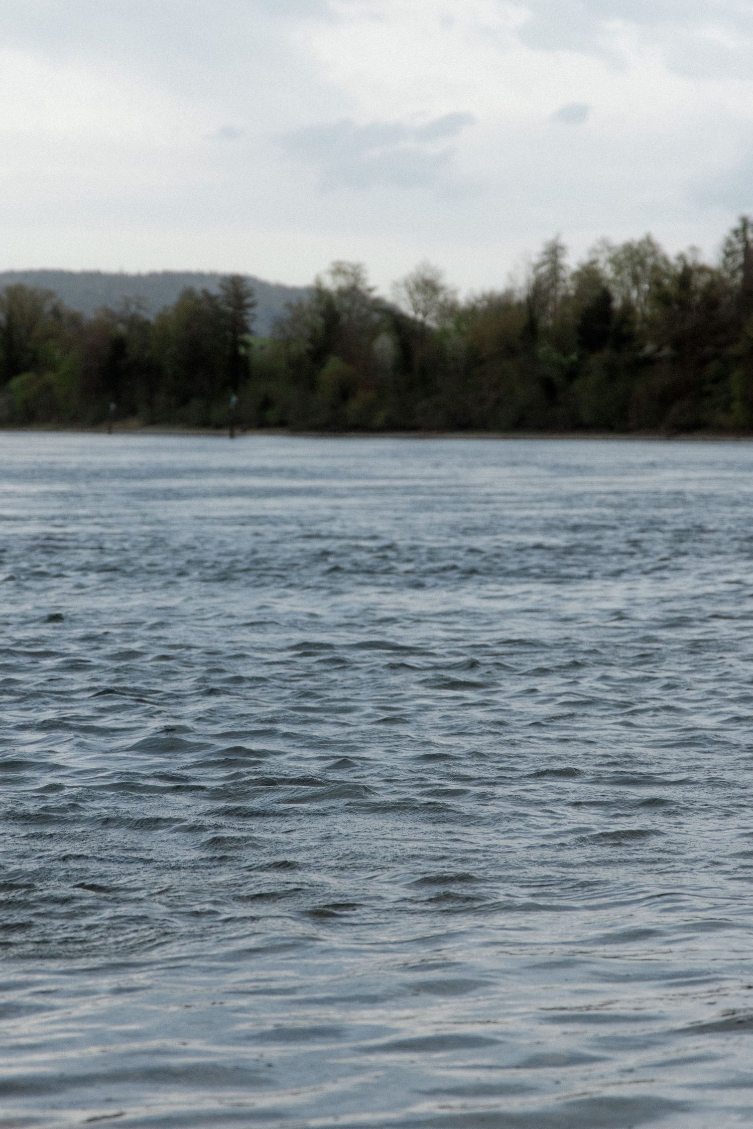 A calm river with gentle ripples flows past a lush green tree-lined shore under an overcast sky.