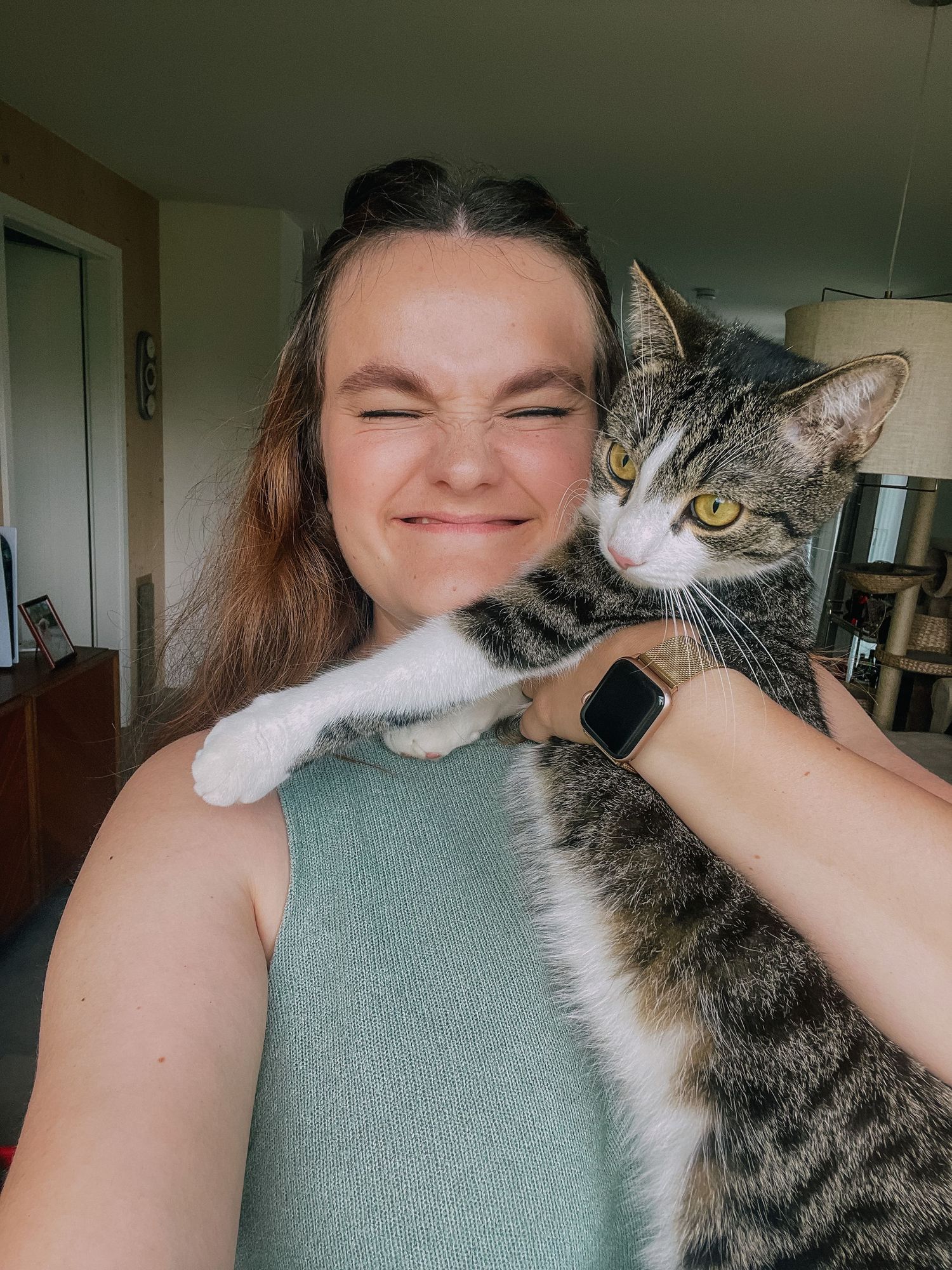 Tabby cat cuddling and nuzzling against someone wearing a green top.