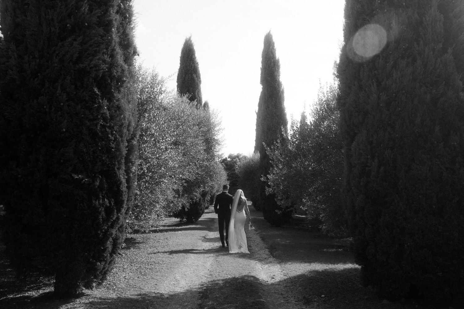 Black and white path through trees creates moody atmosphere in natural setting.