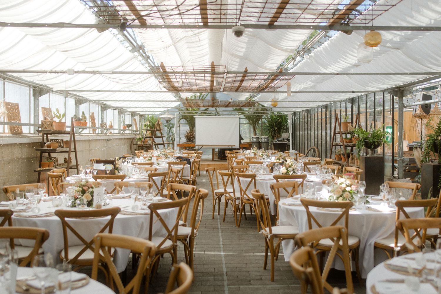 A greenhouse-style wedding venue with white tablecloths and wooden cross-back chairs arranged for reception.