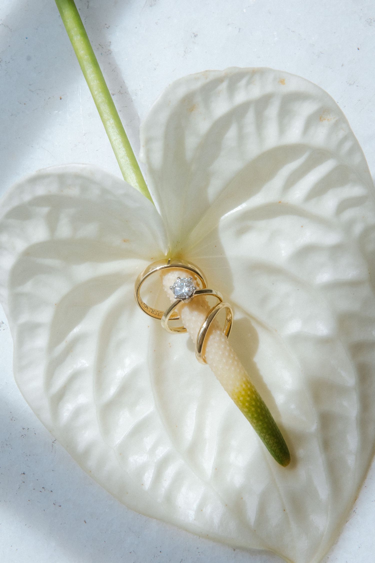 Gold wedding and engagement rings with diamond resting on white anthurium flower spadix for elegant bridal jewelry display.