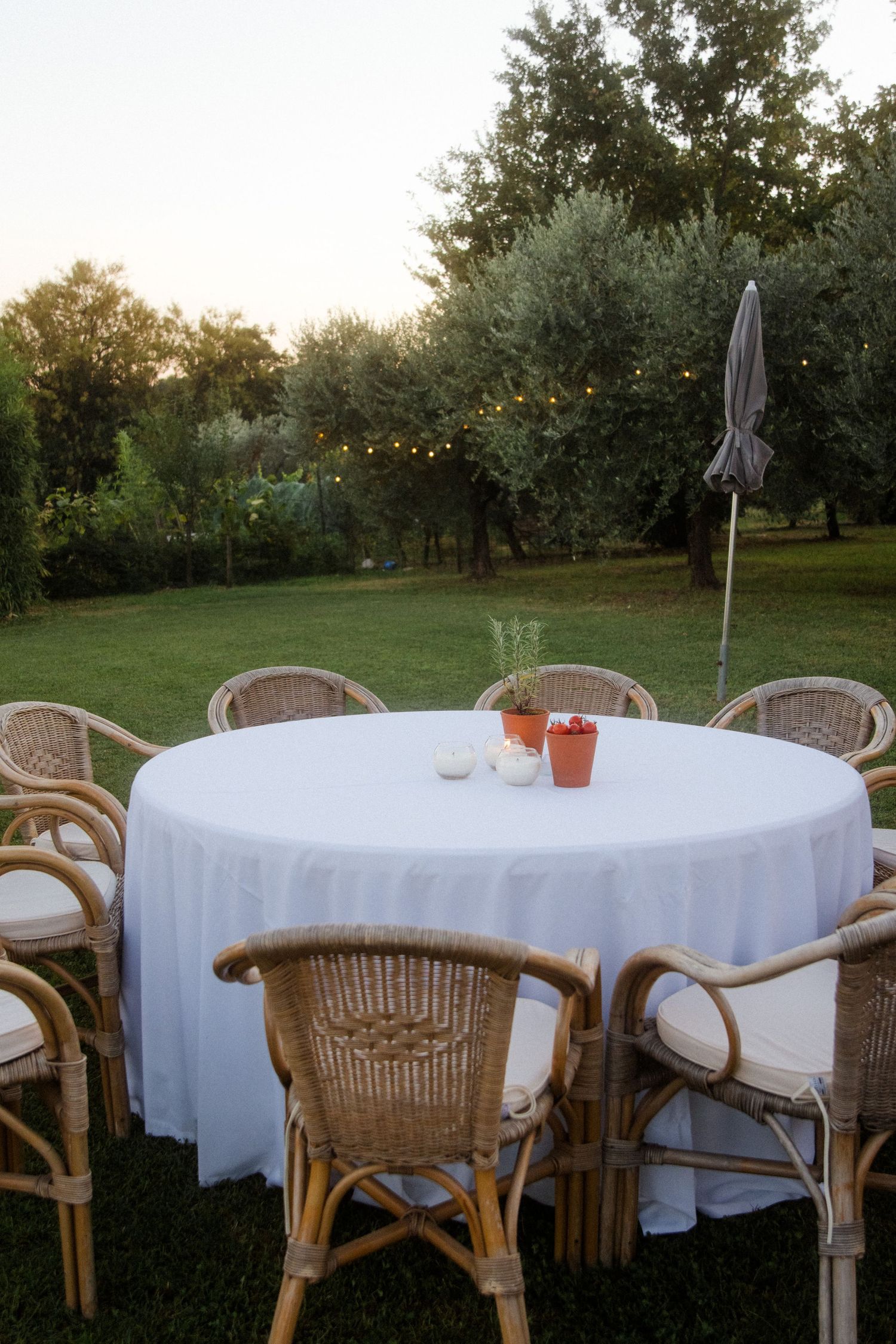 Elegant outdoor dining setup with white tablecloths and rattan chairs in a garden setting.