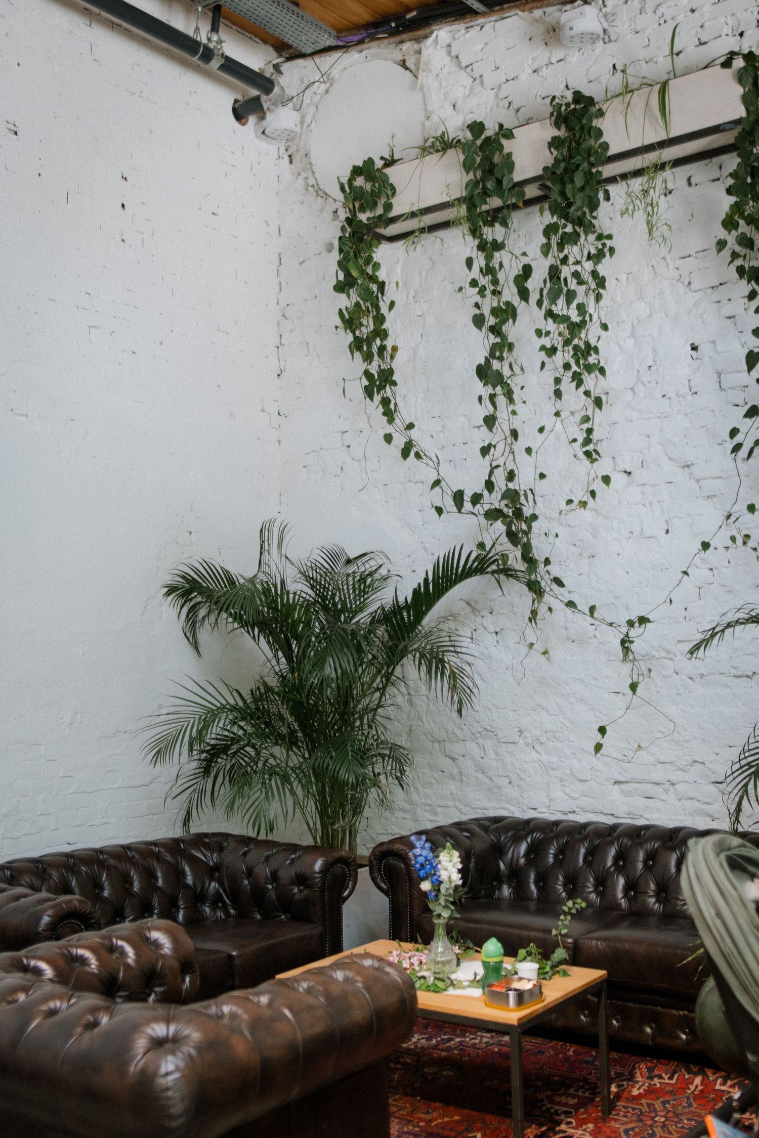 A modern industrial lounge area with leather sofa, plants and white brick walls.