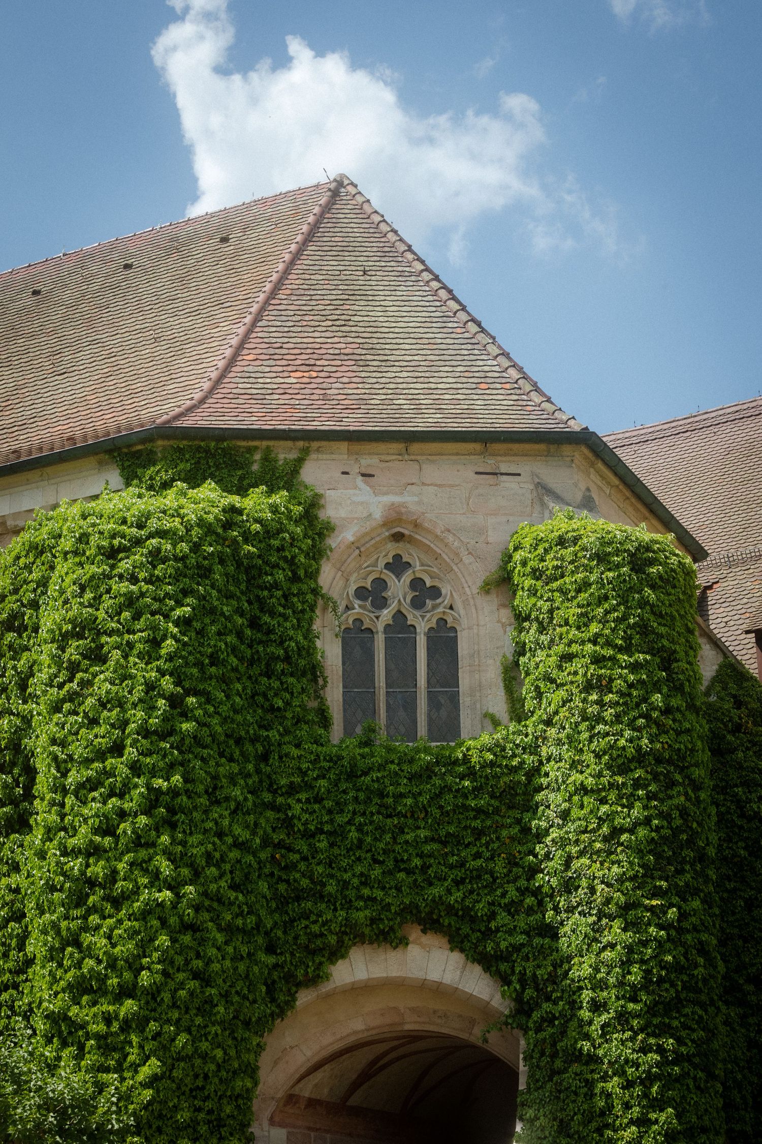Gothic stone church window framed by lush green ivy growing up the walls.
