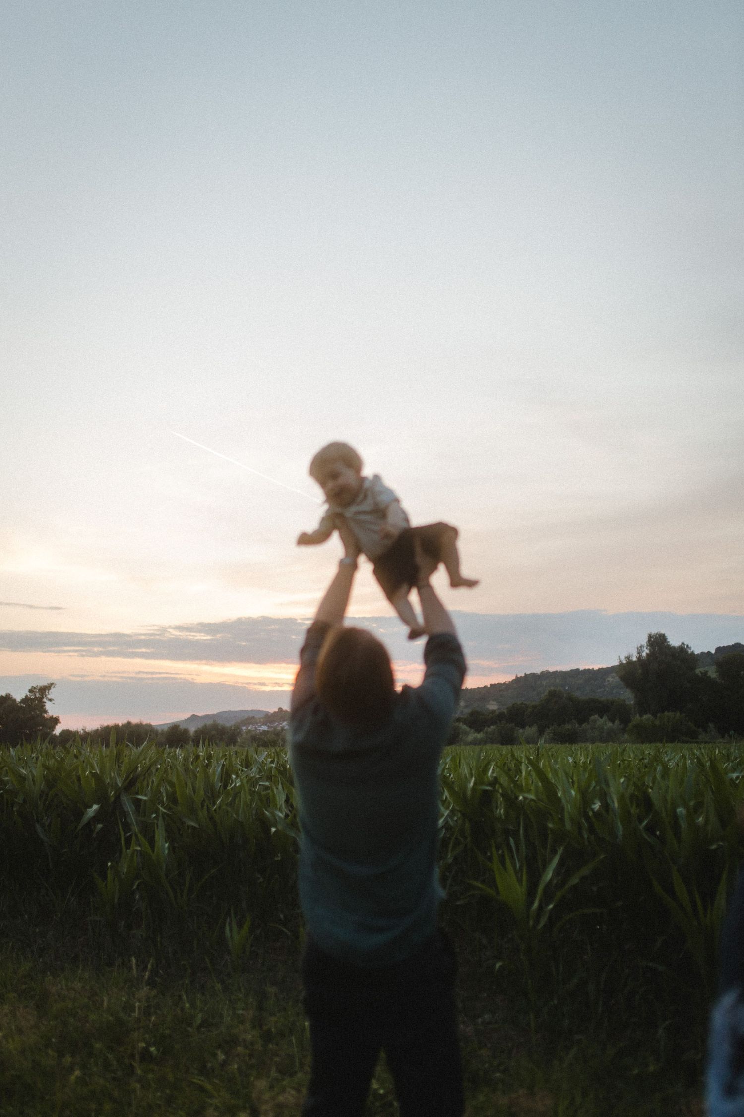 Playful moments captured at sunset near a cornfield as a child is lifted into the air.