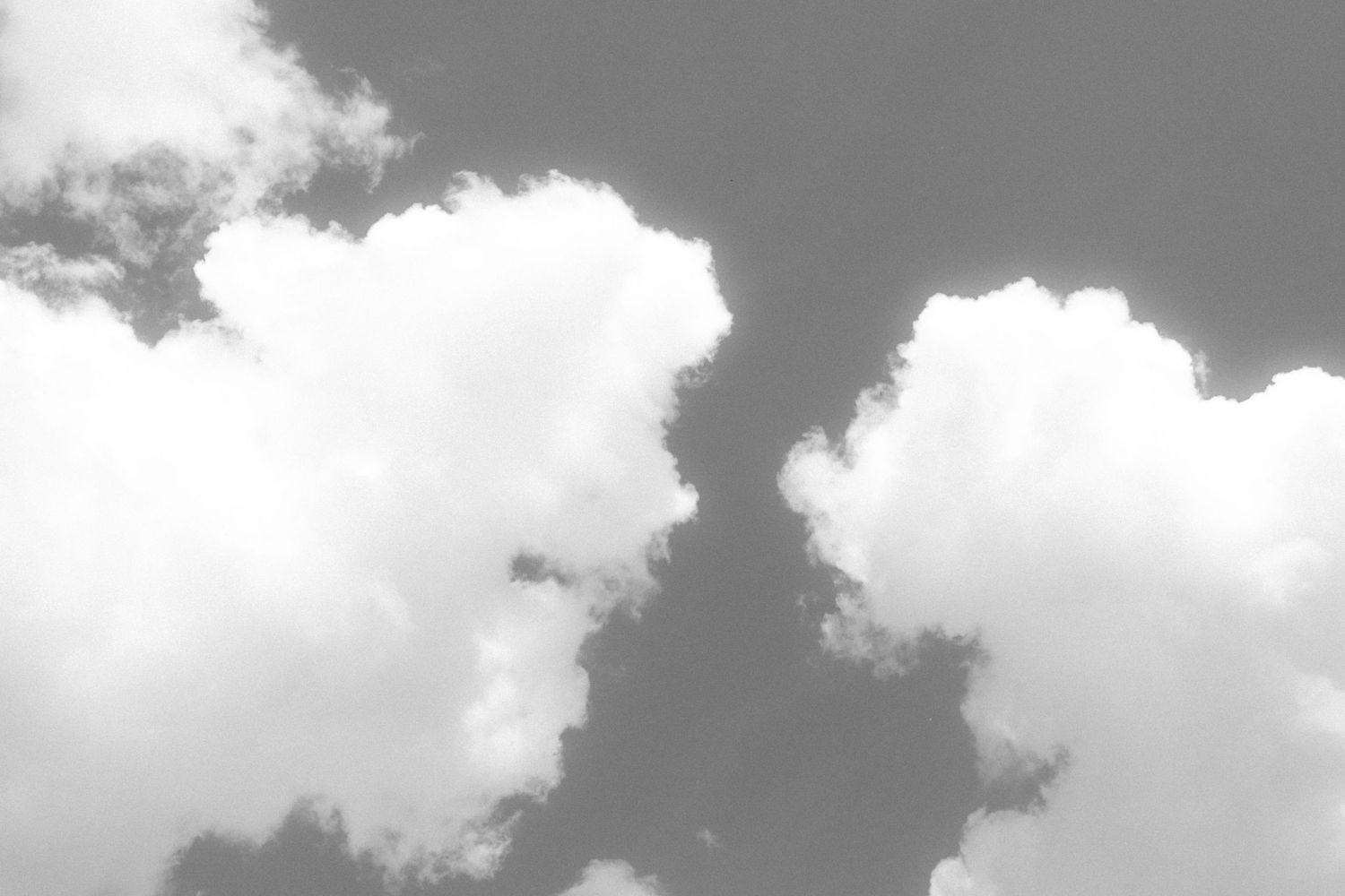 Dramatic black and white cloudscape showing fluffy clouds against dark sky.