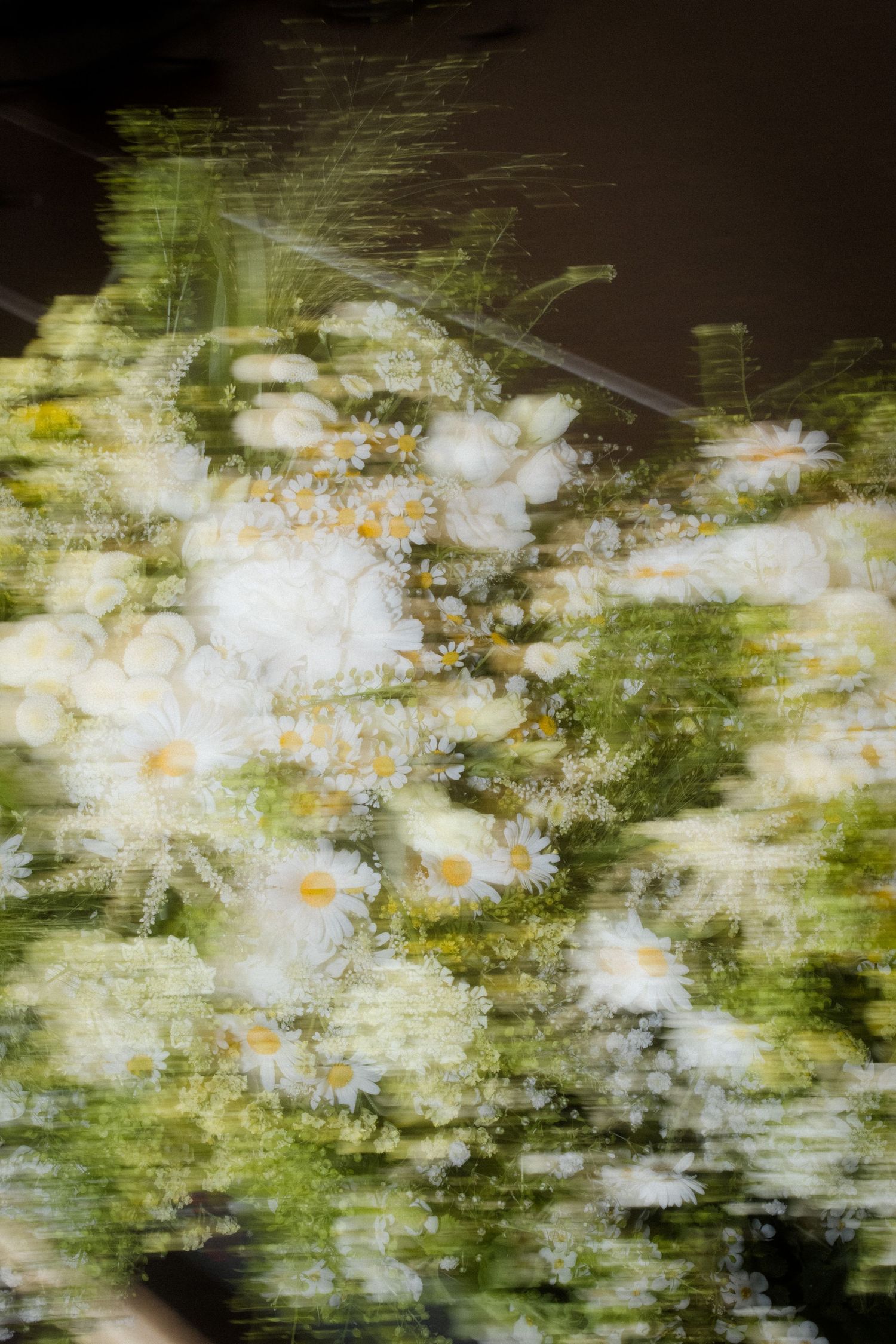 Abstract floral photography with blurred white and green tones creating an ethereal effect.