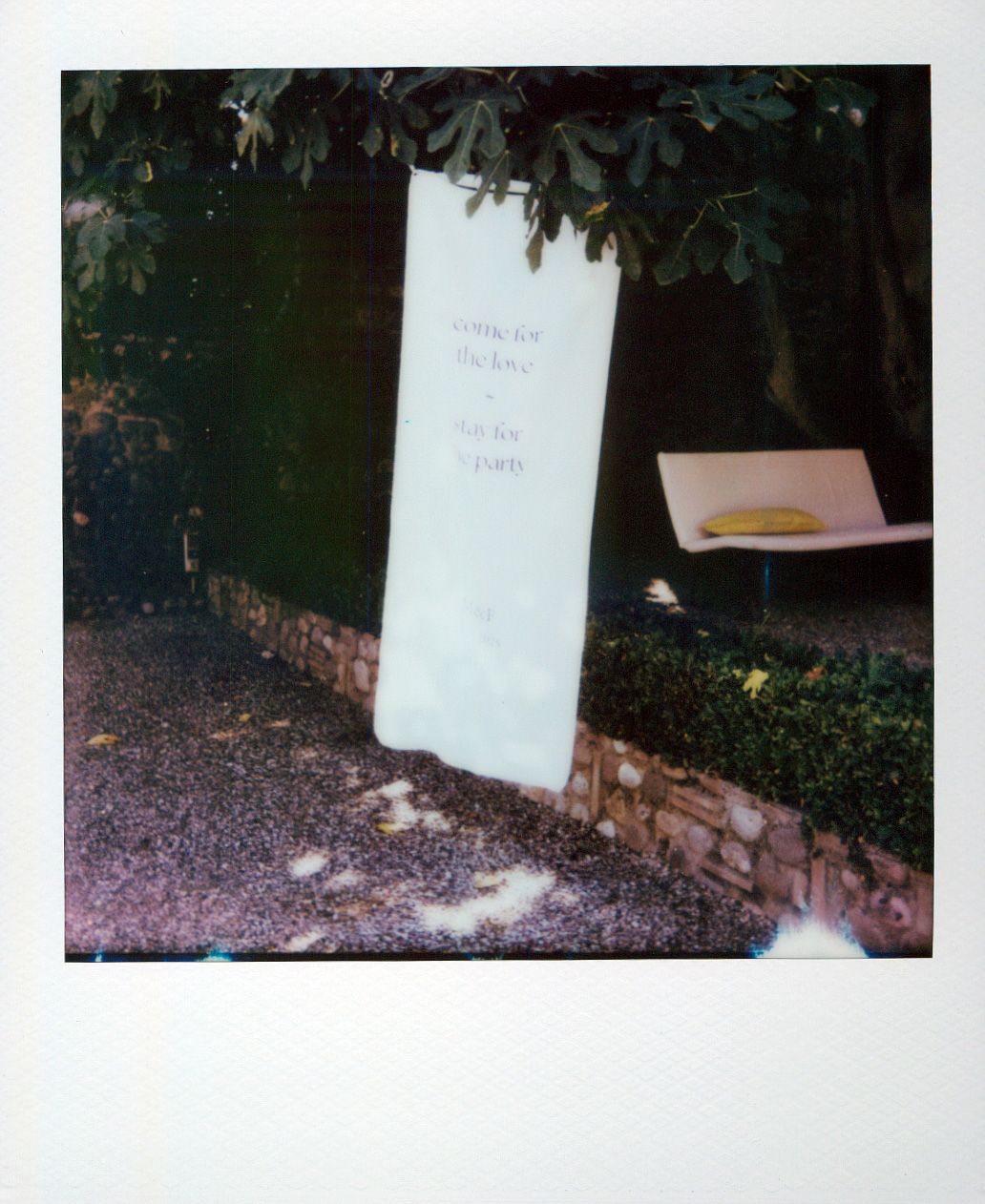 White signs or markers visible in a garden or outdoor setting with dark foliage in the background.