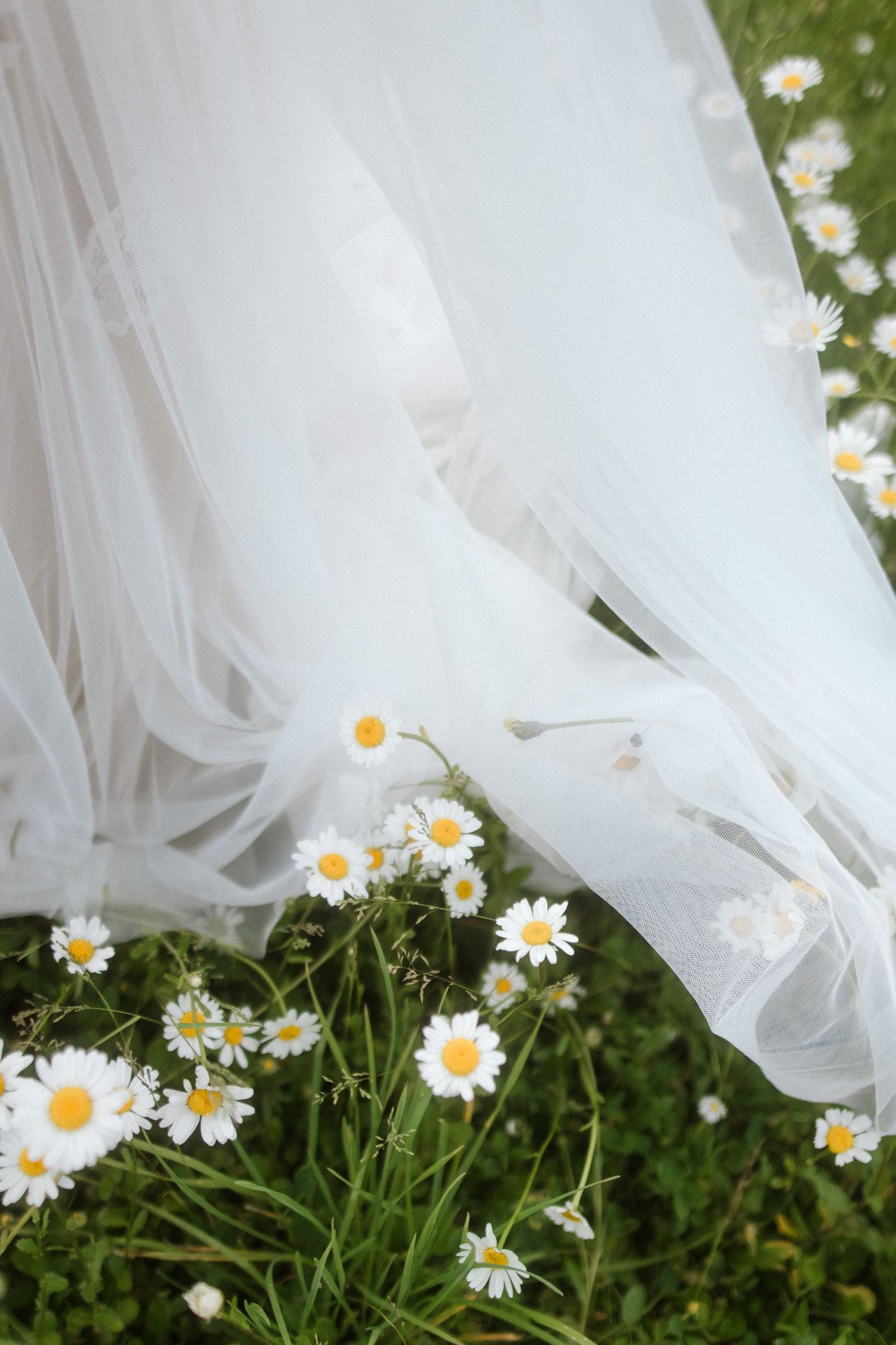 Flowing white wedding dress hem surrounded by delicate daisies in the grass.