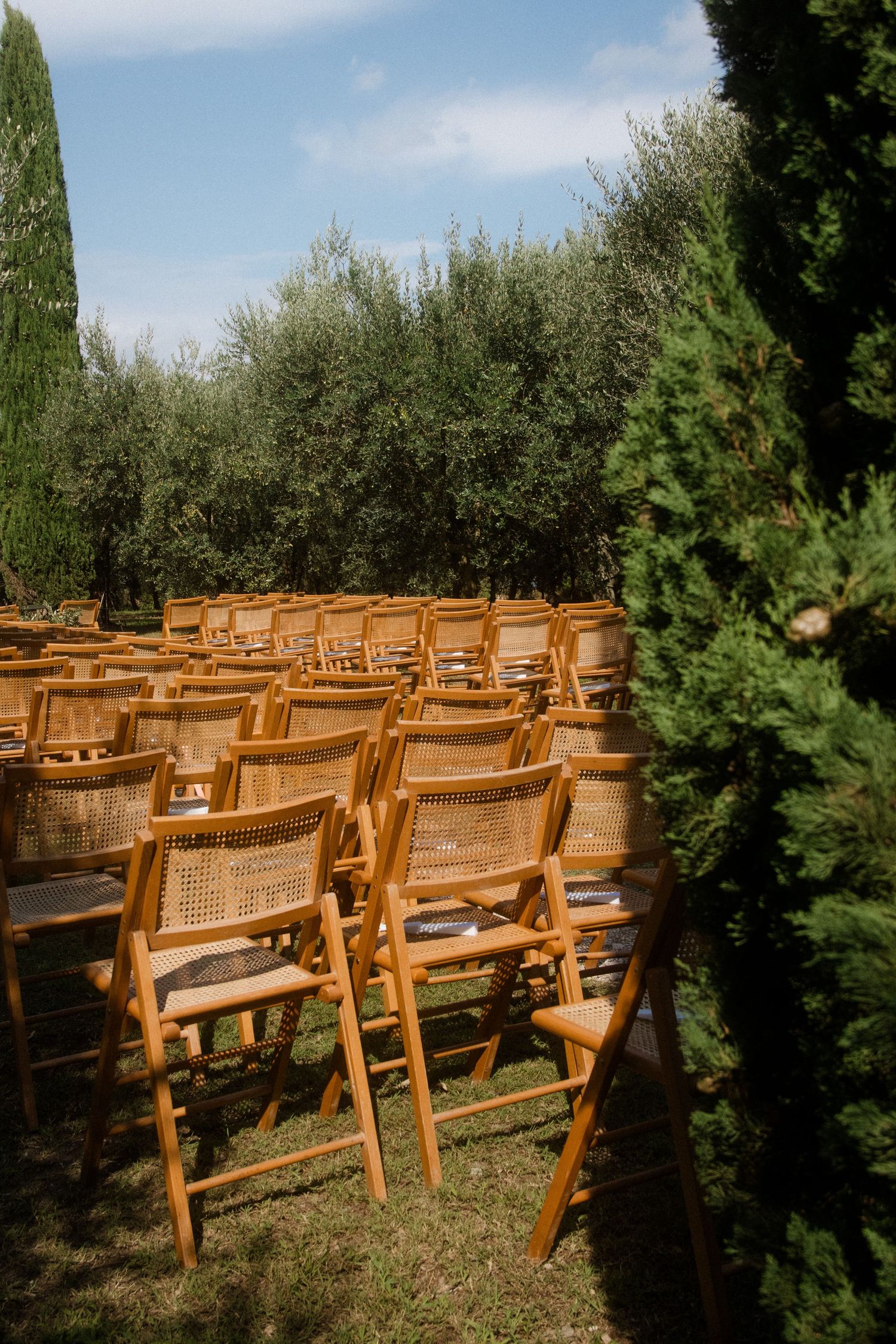Wooden chairs arranged in rows outdoors among olive trees for garden ceremony.