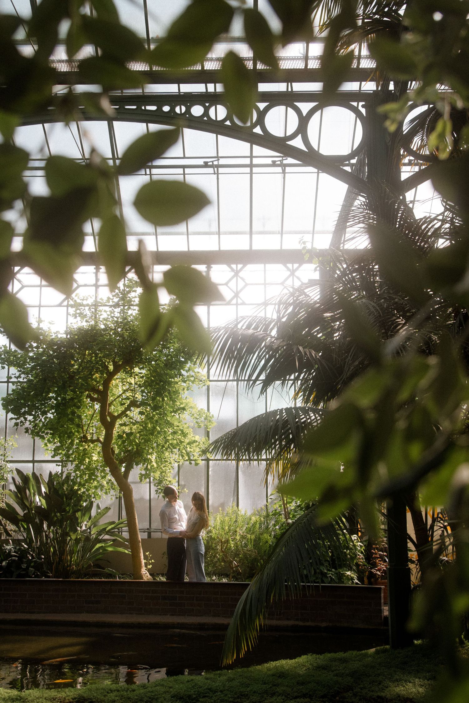 Sunlit greenhouse interior with tropical plants and palm trees creating a lush atmosphere.